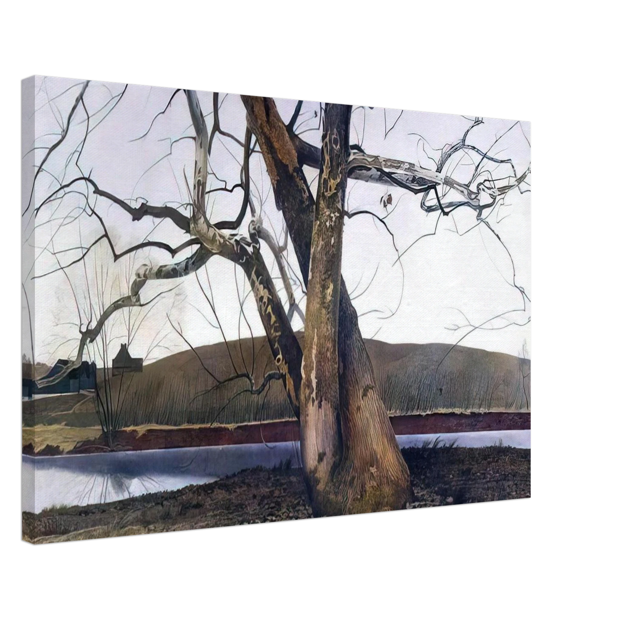 DIL HUEY FARM Canvas | Andrew Wyeth Canvas | Andrew Wyeth Prints