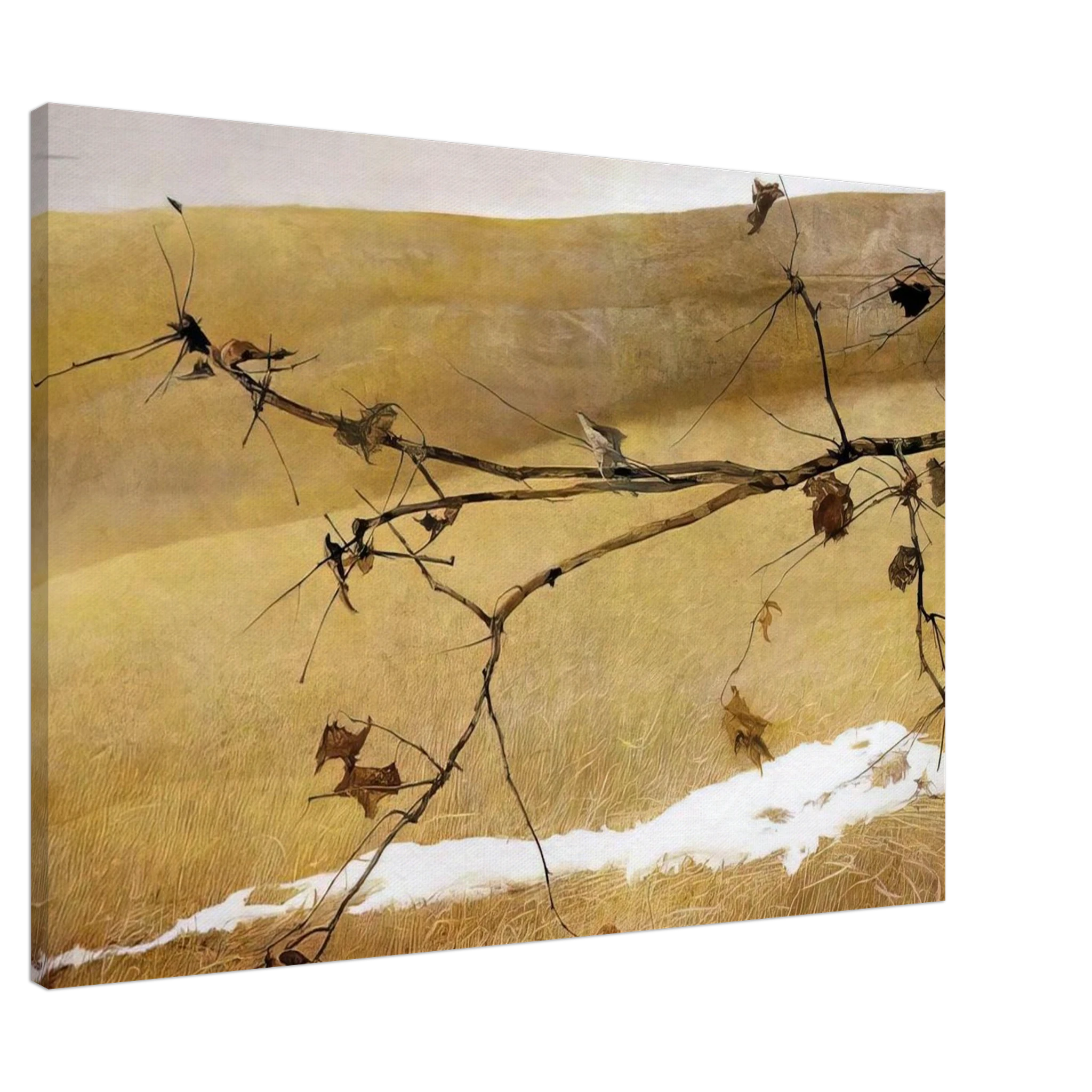 LONG LIMB Canvas | Andrew Wyeth Canvas | Andrew Wyeth Prints