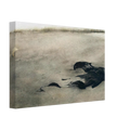 NOT DETECTED 37 Canvas | Andrew Wyeth Canvas | Andrew Wyeth Prints