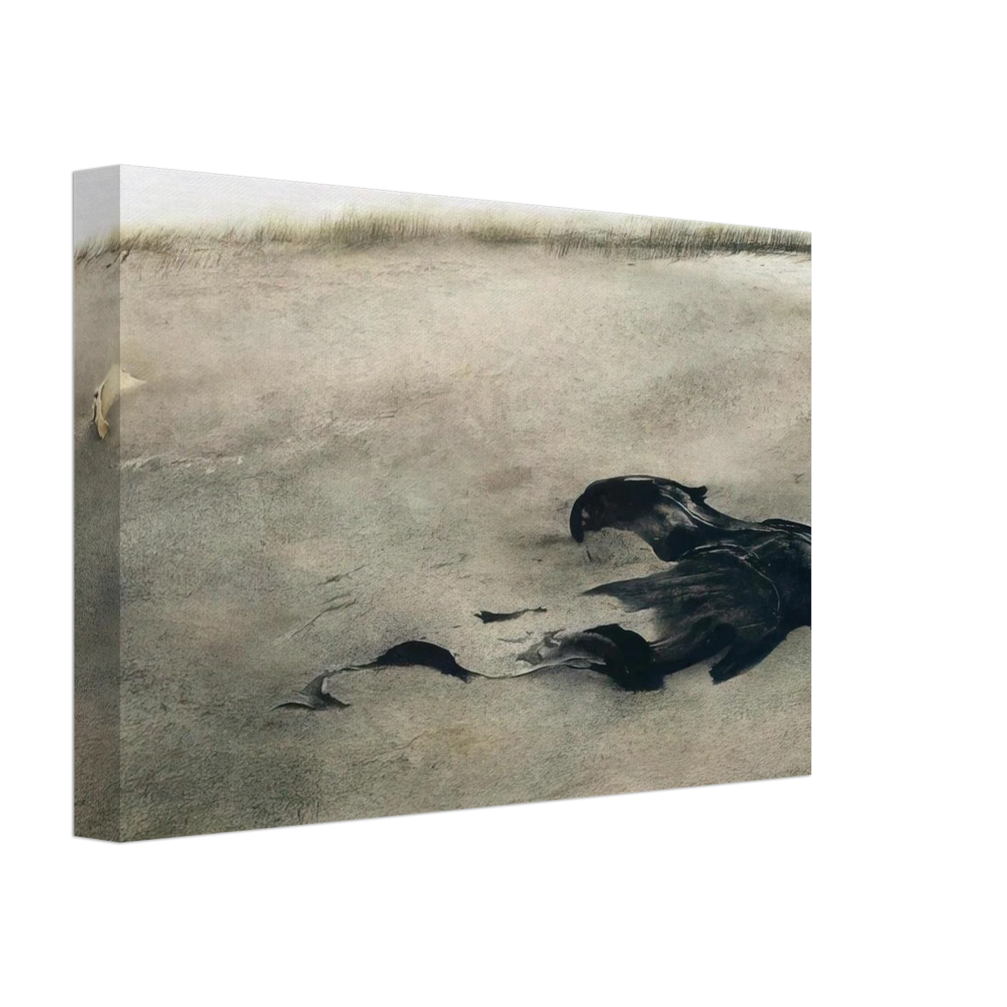 NOT DETECTED 37 Canvas | Andrew Wyeth Canvas | Andrew Wyeth Prints