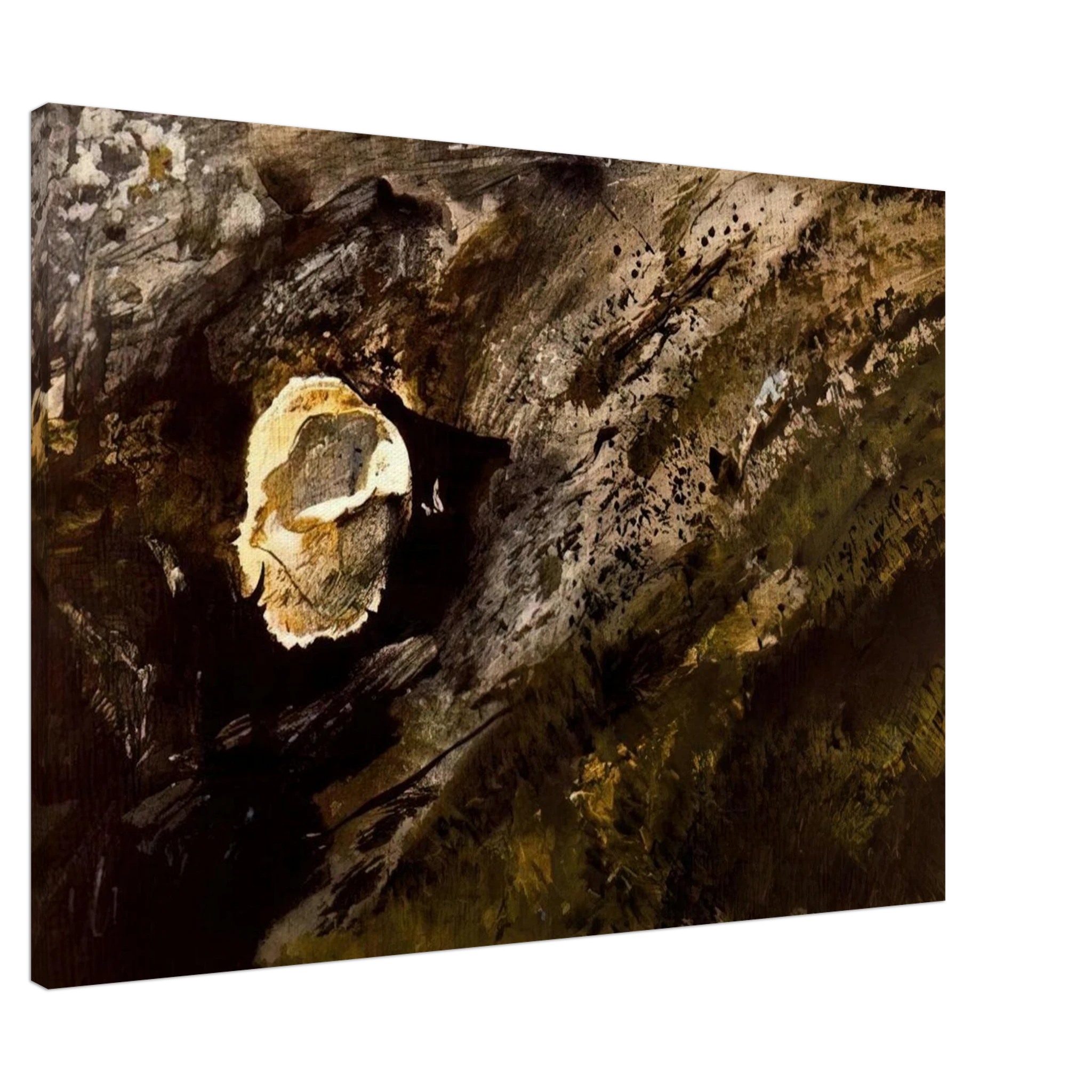 INLAND SHELL Canvas | Andrew Wyeth Canvas | Andrew Wyeth Prints