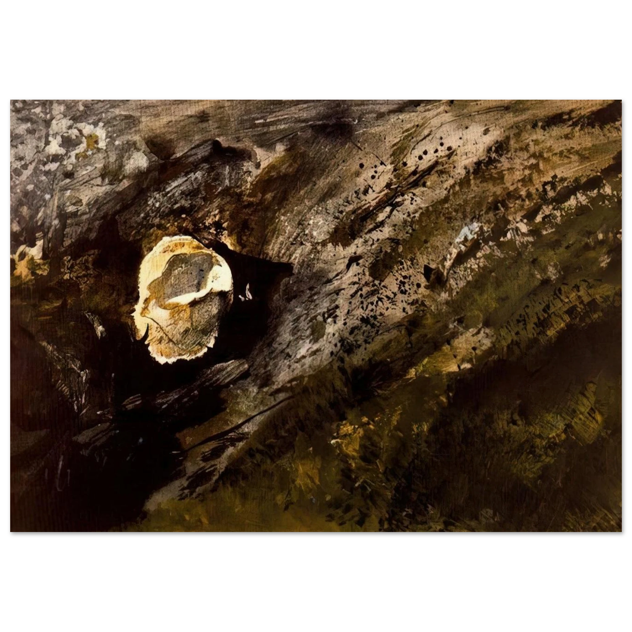 INLAND SHELL Poster | Andrew Wyeth Poster | Andrew Wyeth Prints