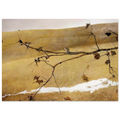 LONG LIMB Poster | Andrew Wyeth Poster | Andrew Wyeth Prints