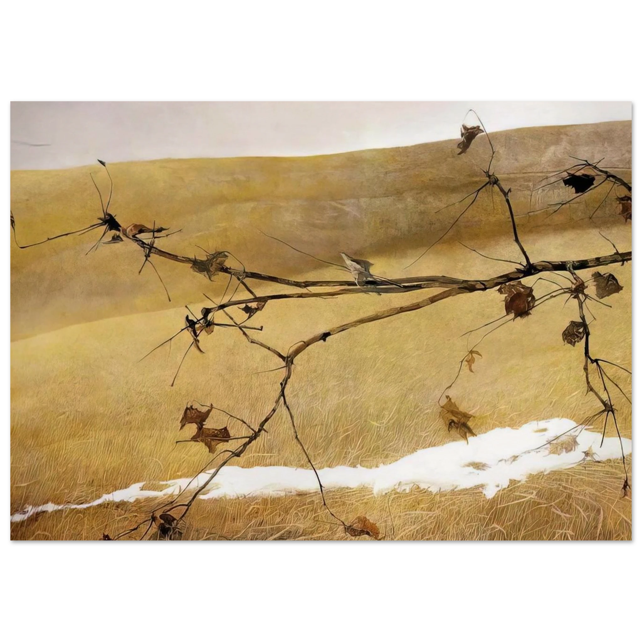 LONG LIMB Poster | Andrew Wyeth Poster | Andrew Wyeth Prints