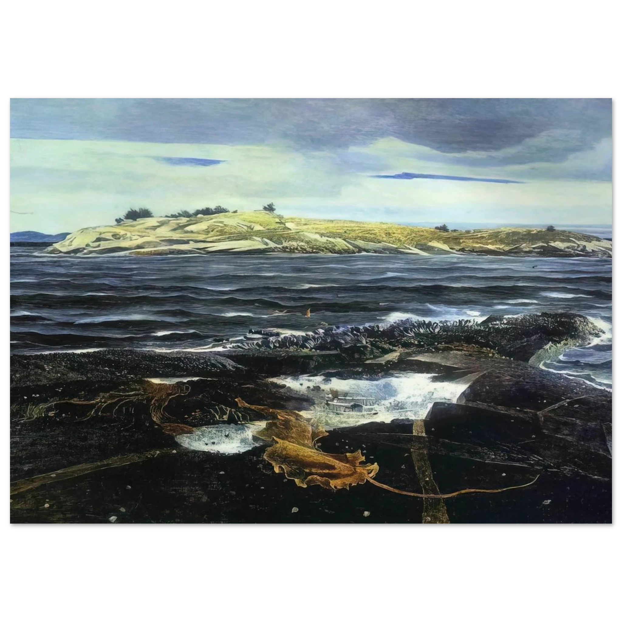 LITTLE CALDWELLS ISLAND Poster | Andrew Wyeth Poster | Andrew Wyeth Prints