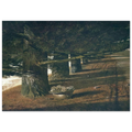 PINE BARON Poster | Andrew Wyeth Poster | Andrew Wyeth Prints