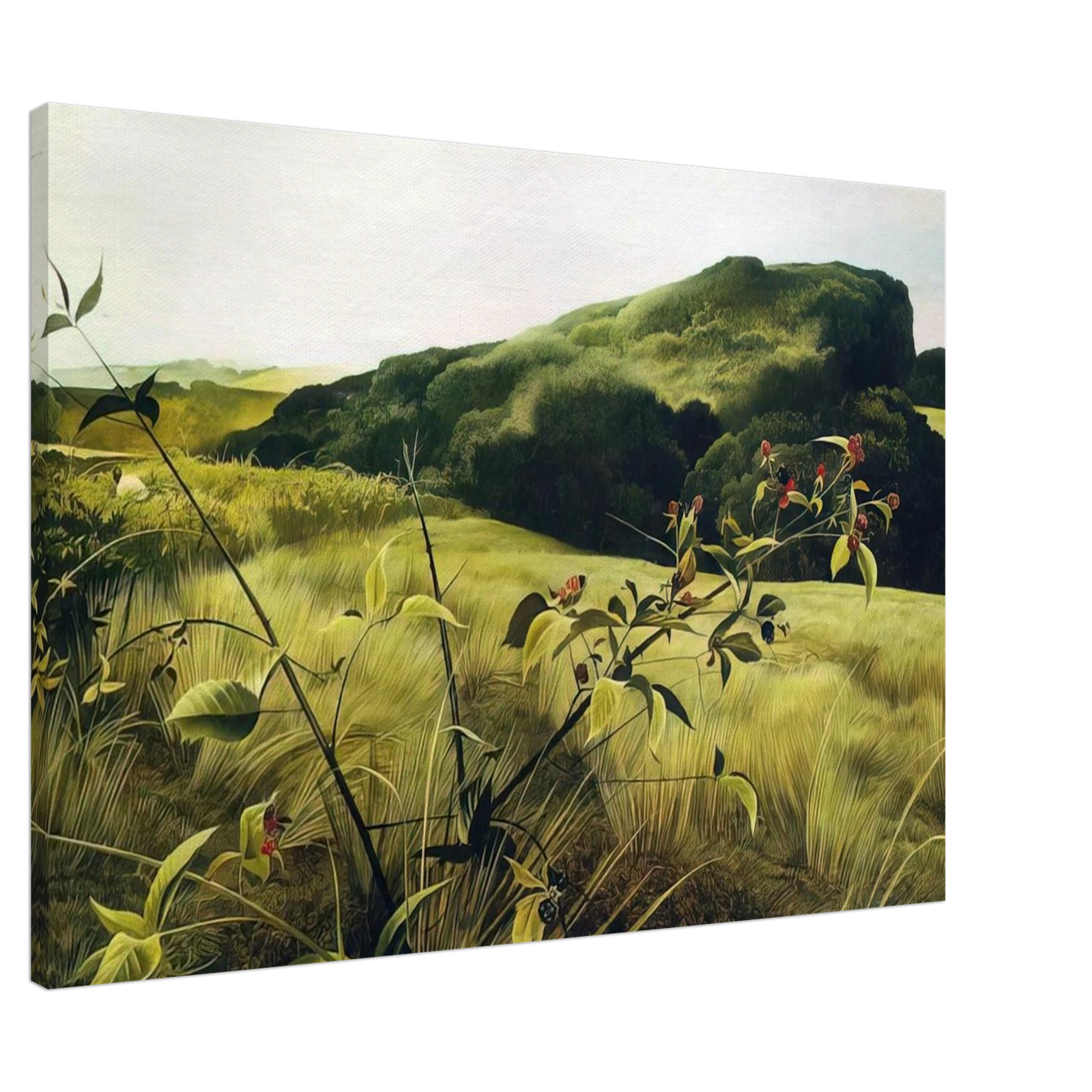 BLACKBERRY PICKER Canvas | Andrew Wyeth Canvas | Andrew Wyeth Prints