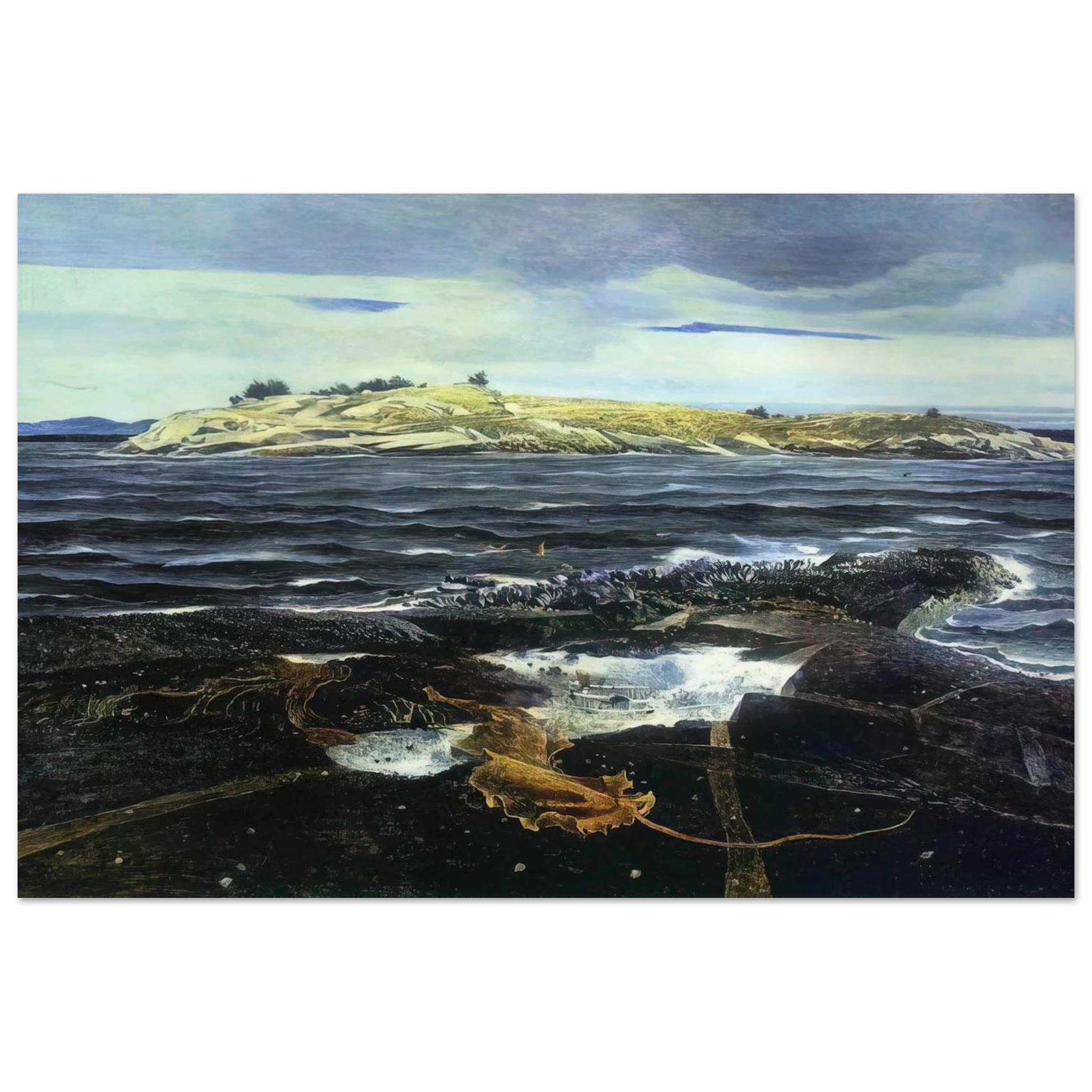 LITTLE CALDWELLS ISLAND Poster | Andrew Wyeth Poster | Andrew Wyeth Prints