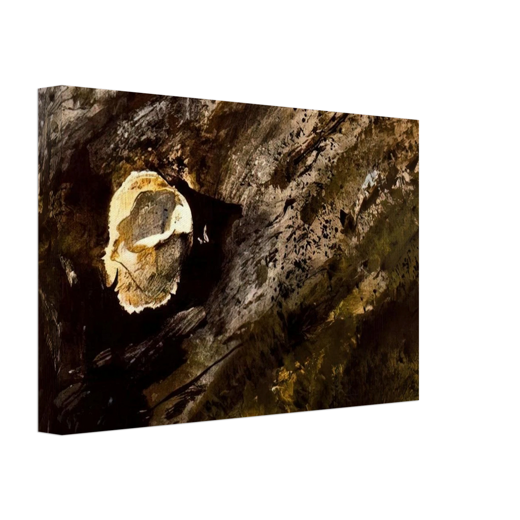 INLAND SHELL Canvas | Andrew Wyeth Canvas | Andrew Wyeth Prints