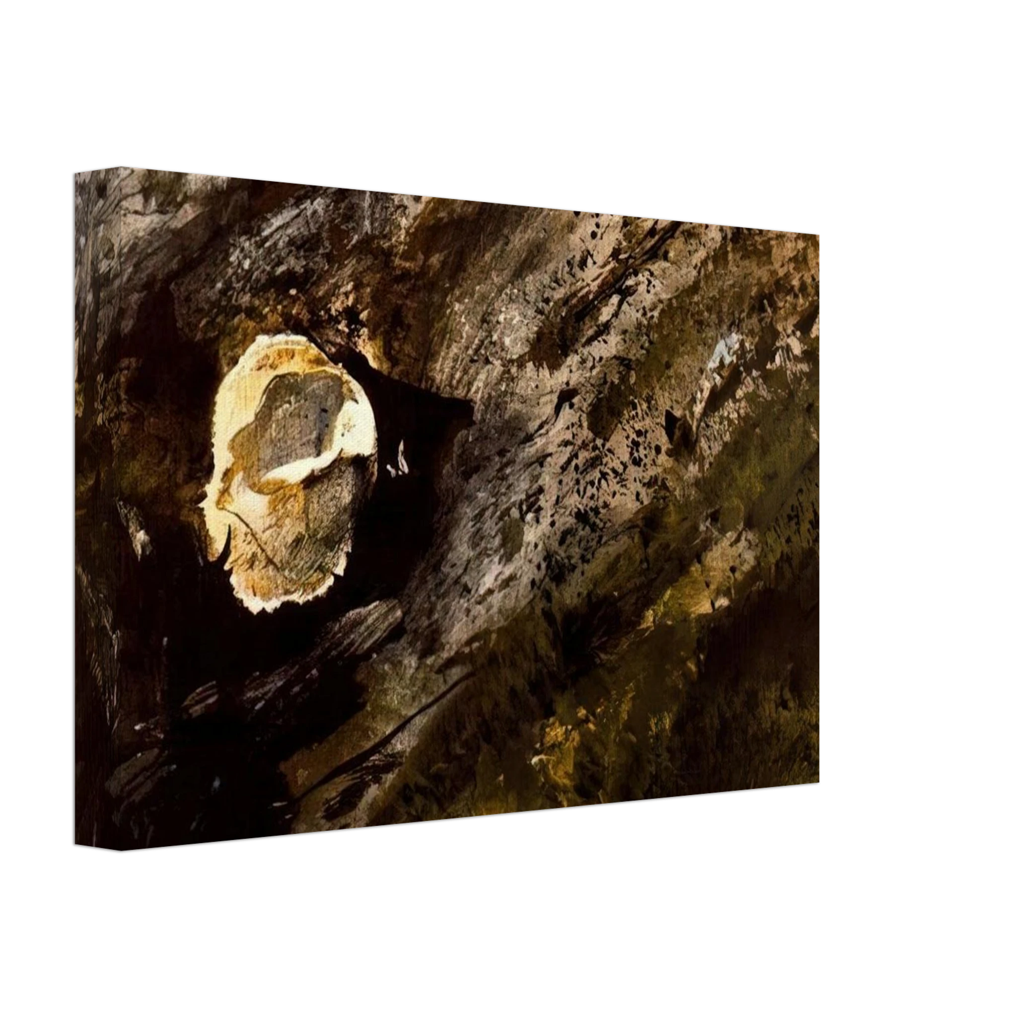 INLAND SHELL Canvas | Andrew Wyeth Canvas | Andrew Wyeth Prints