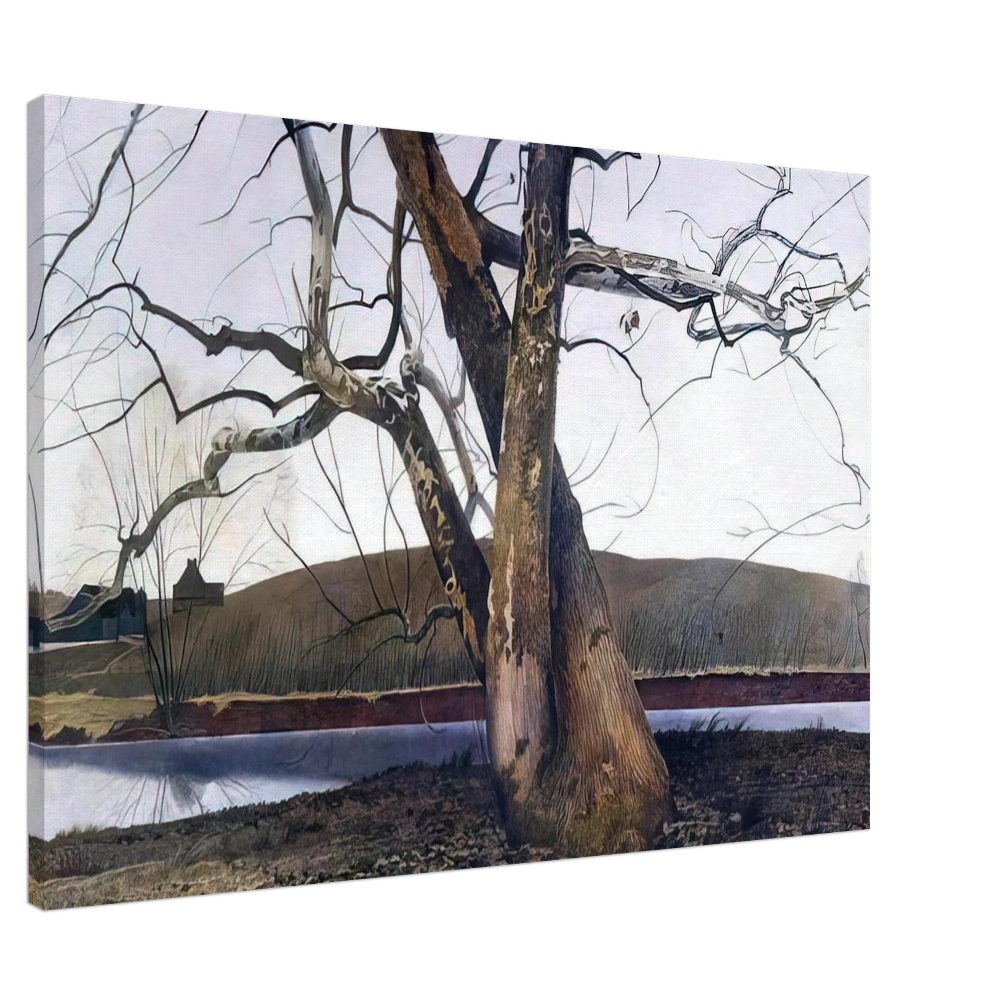 DIL HUEY FARM Canvas | Andrew Wyeth Canvas | Andrew Wyeth Prints