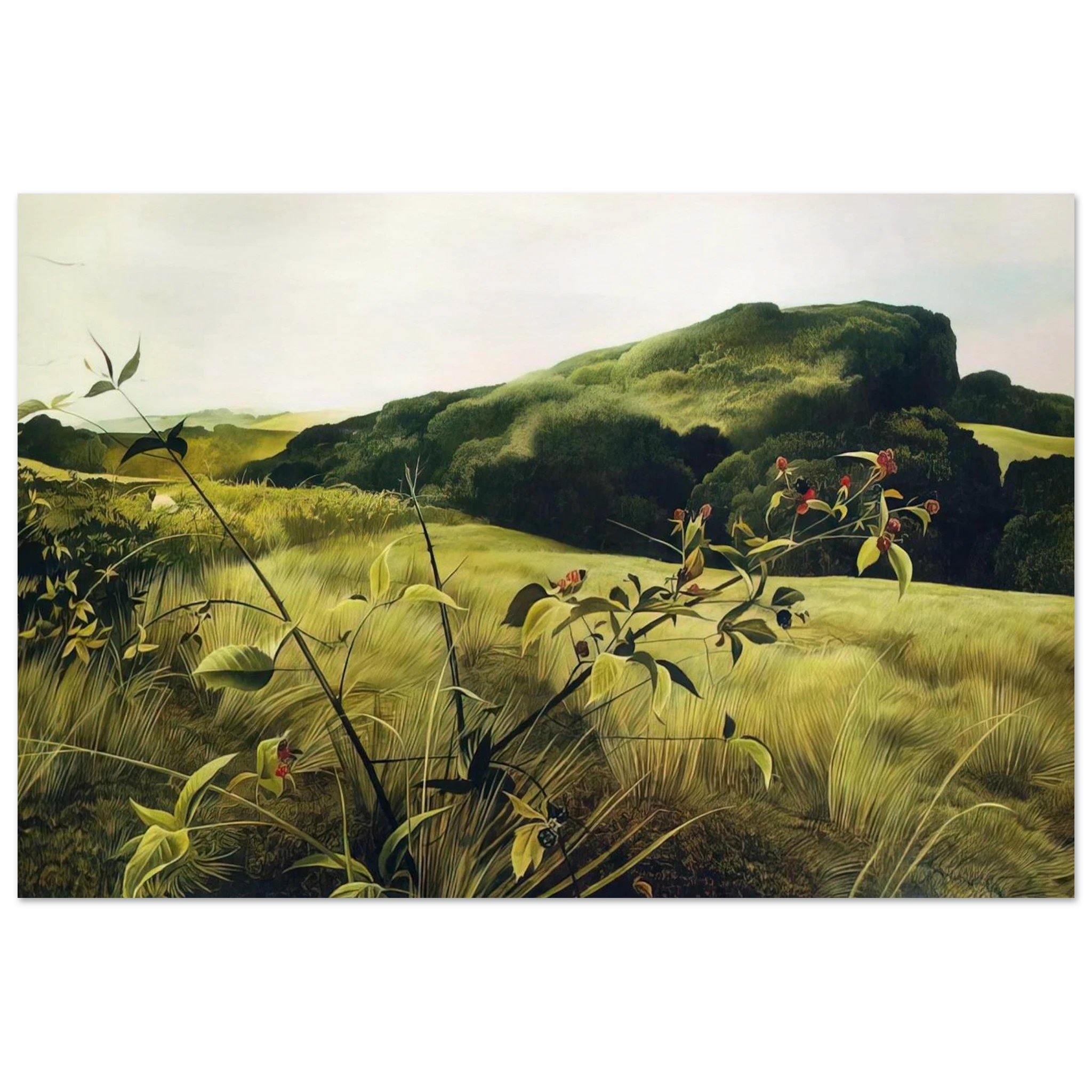 BLACKBERRY PICKER Poster | Andrew Wyeth Poster | Andrew Wyeth Prints