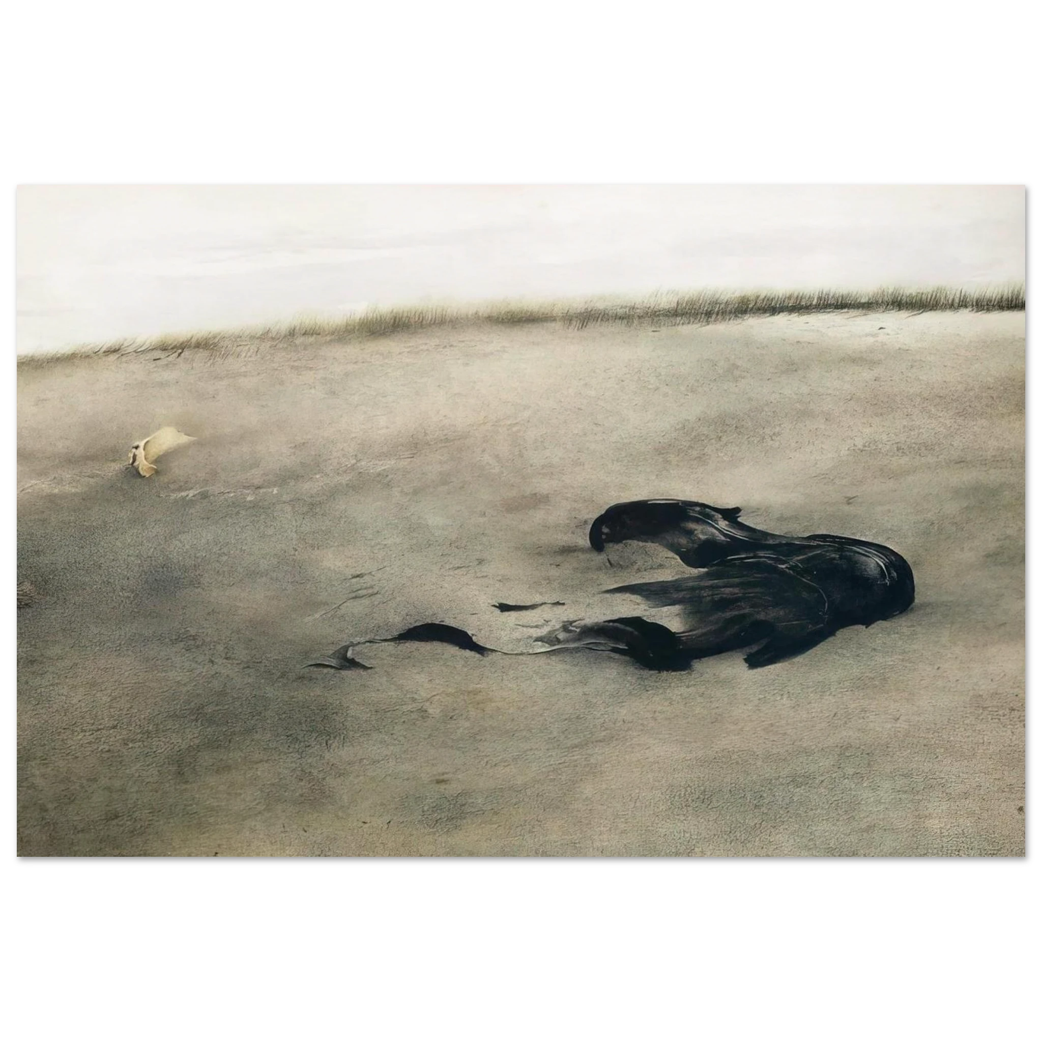 NOT DETECTED 37 Poster | Andrew Wyeth Poster | Andrew Wyeth Prints