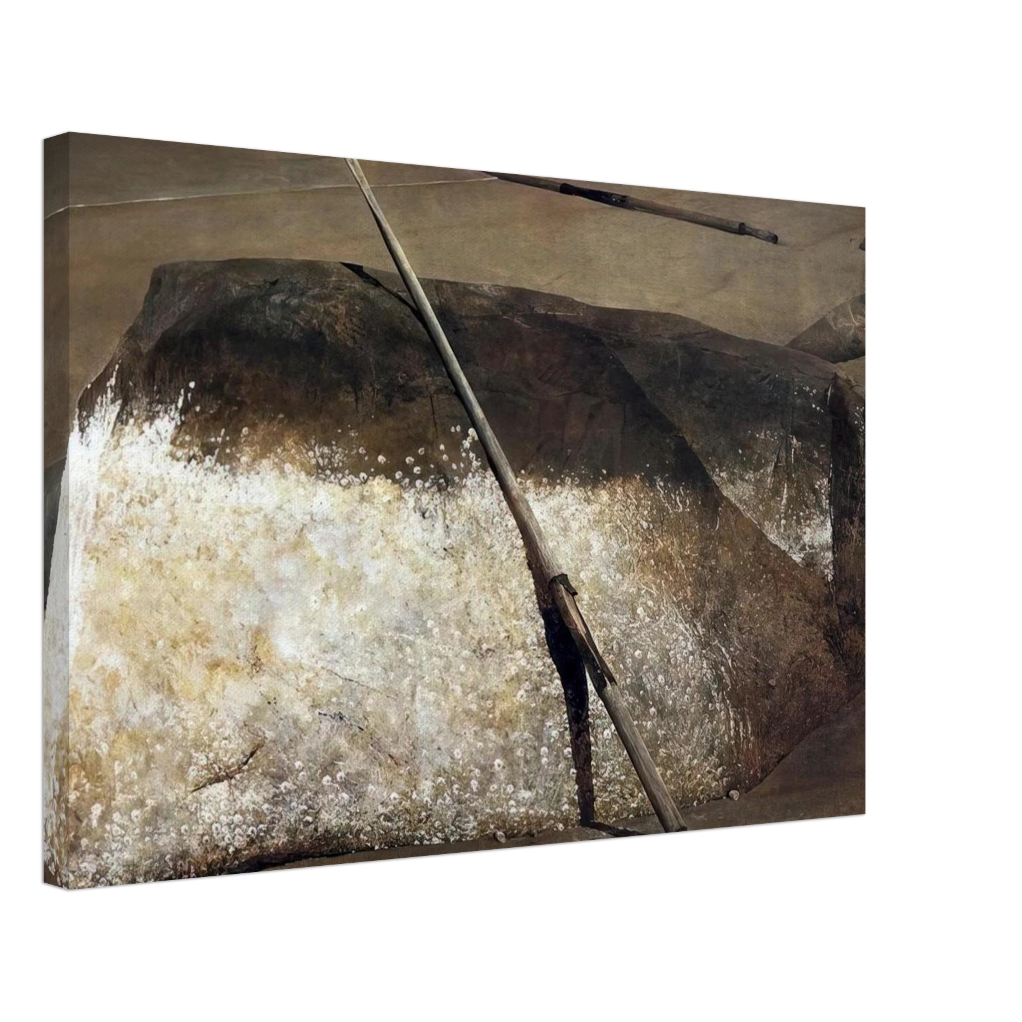 NOT DETECTED 38 Canvas | Andrew Wyeth Canvas | Andrew Wyeth Prints