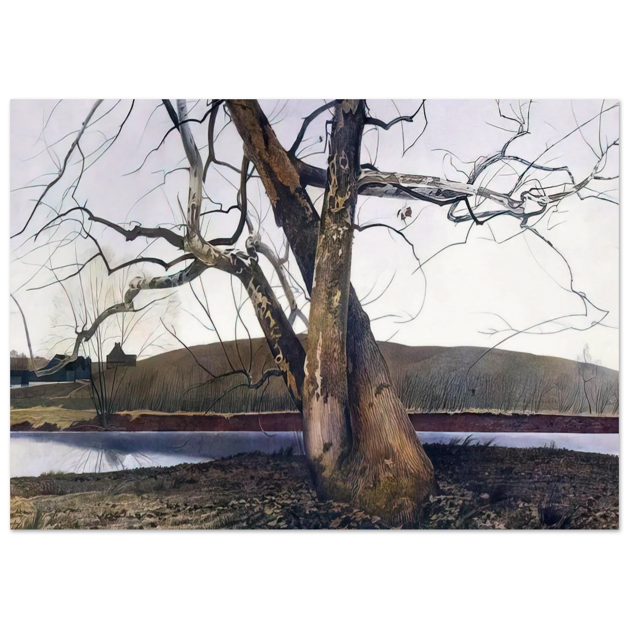 DIL HUEY FARM Poster | Andrew Wyeth Poster | Andrew Wyeth Prints