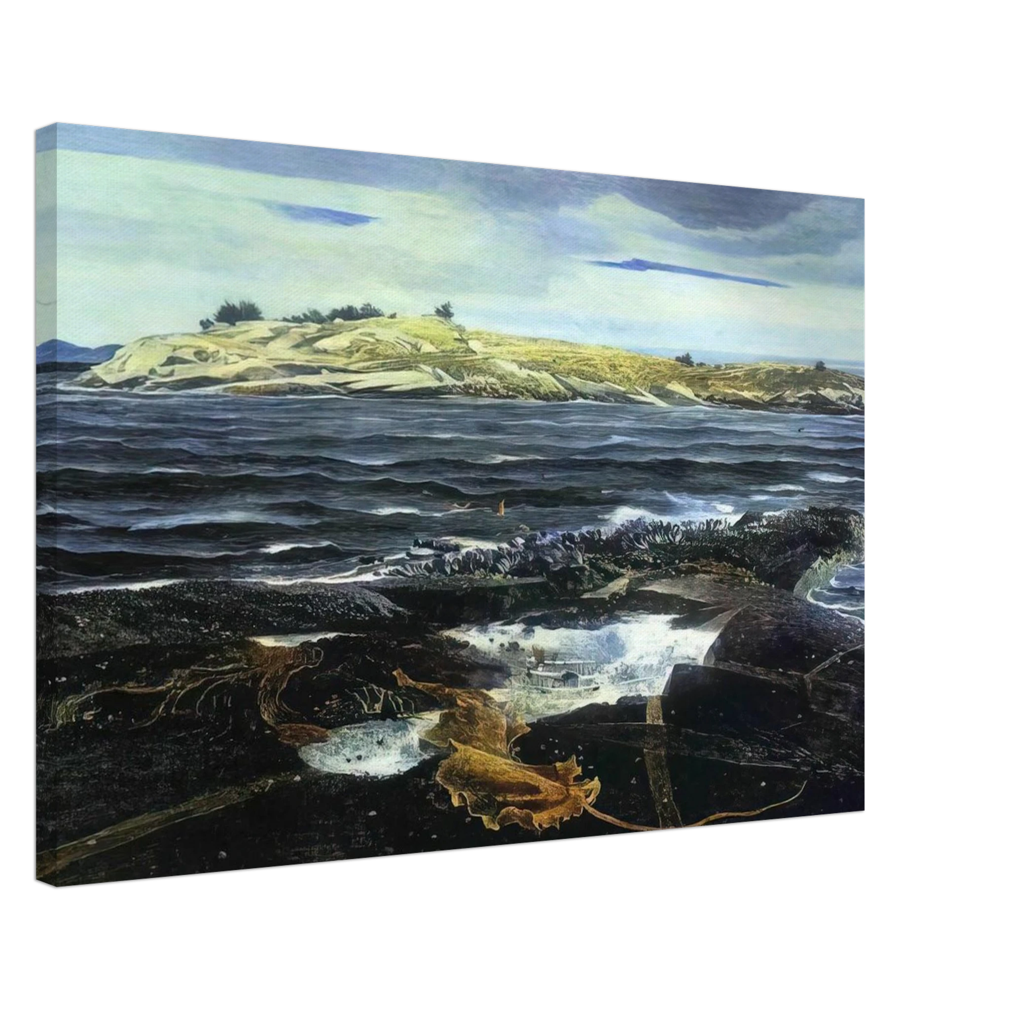 LITTLE CALDWELLS ISLAND Canvas | Andrew Wyeth Canvas | Andrew Wyeth Prints