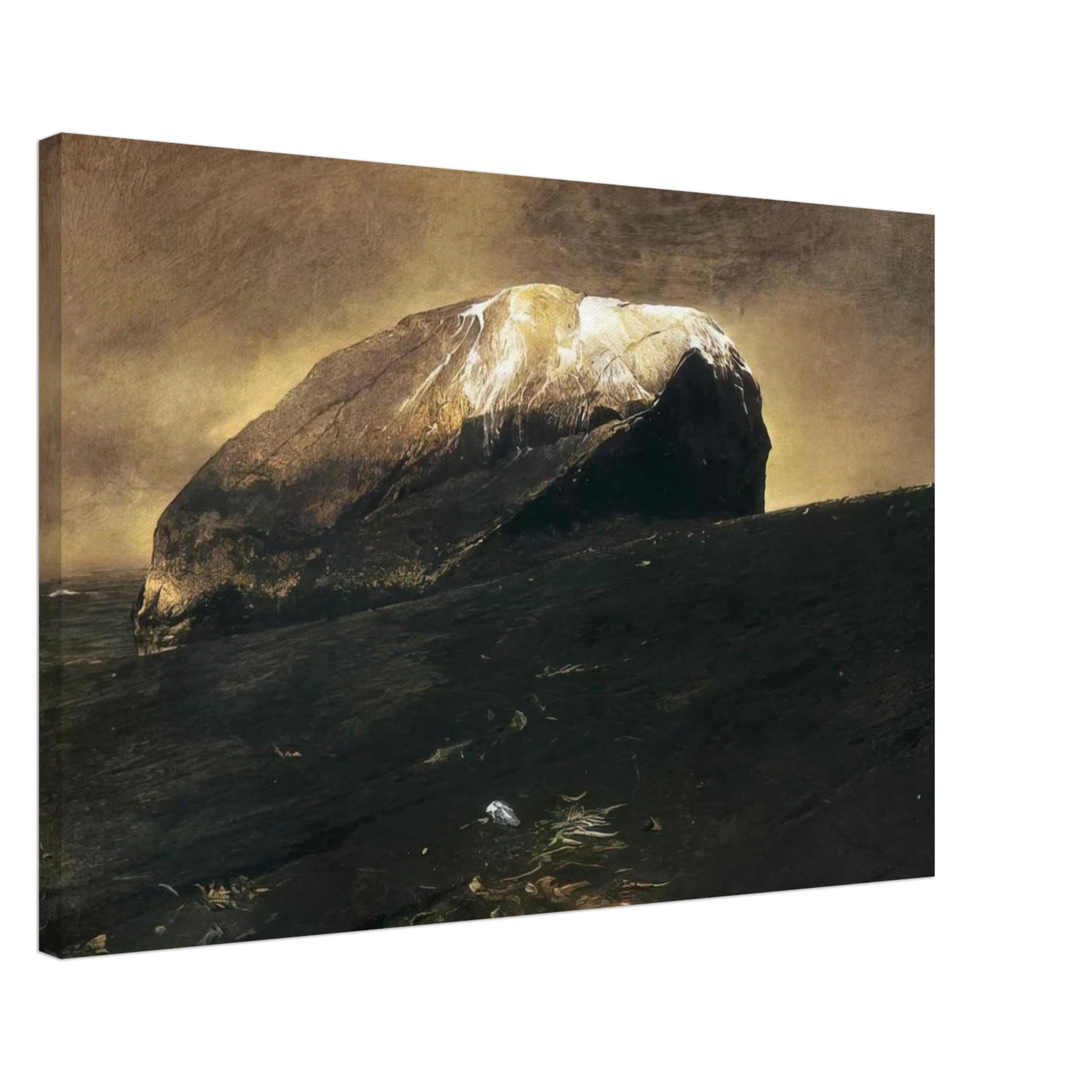 NOT DETECTED 42 Canvas | Andrew Wyeth Canvas | Andrew Wyeth Prints