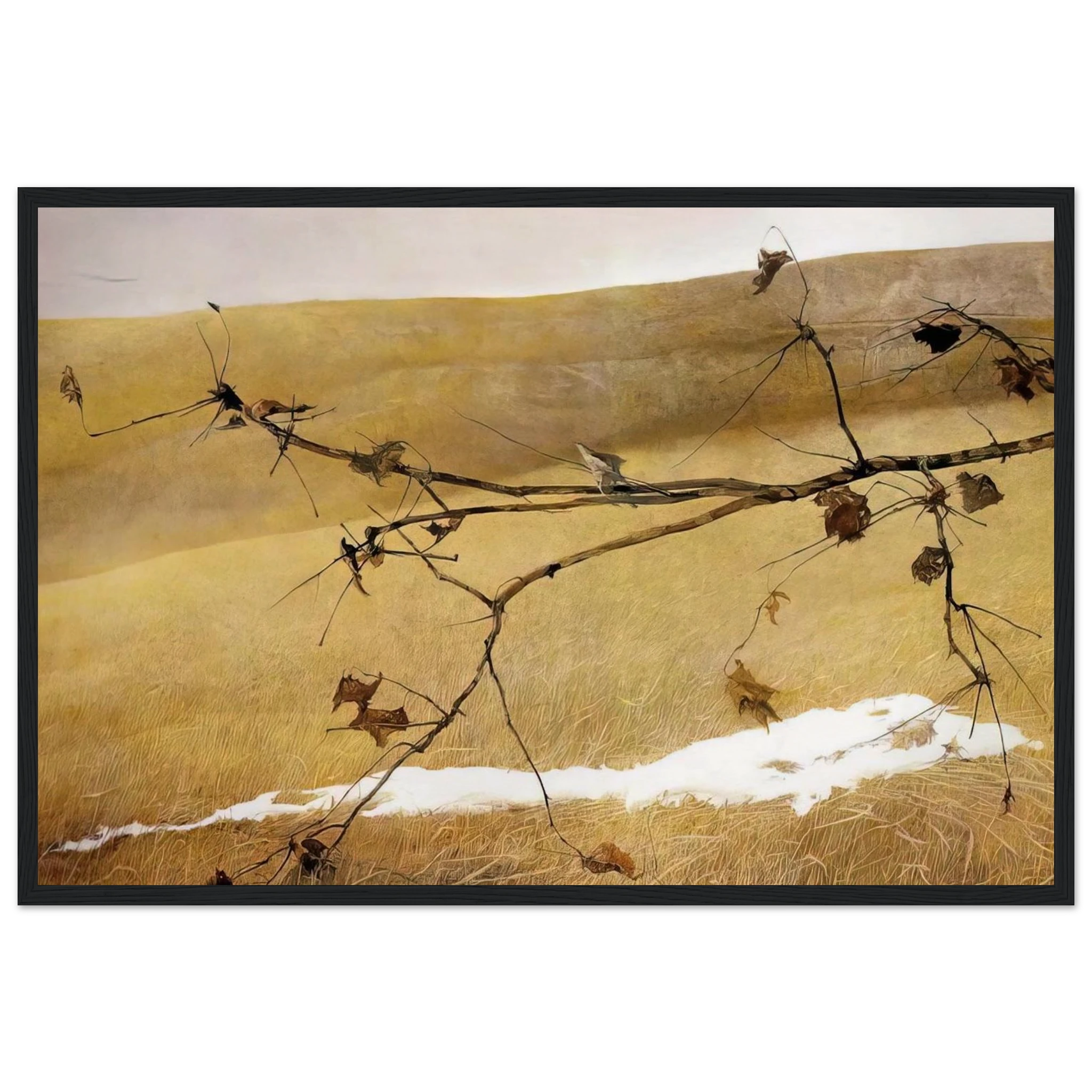LONG LIMB Framed Poster | Andrew Wyeth Framed Prints Wall Art | Andrew Wyeth Prints