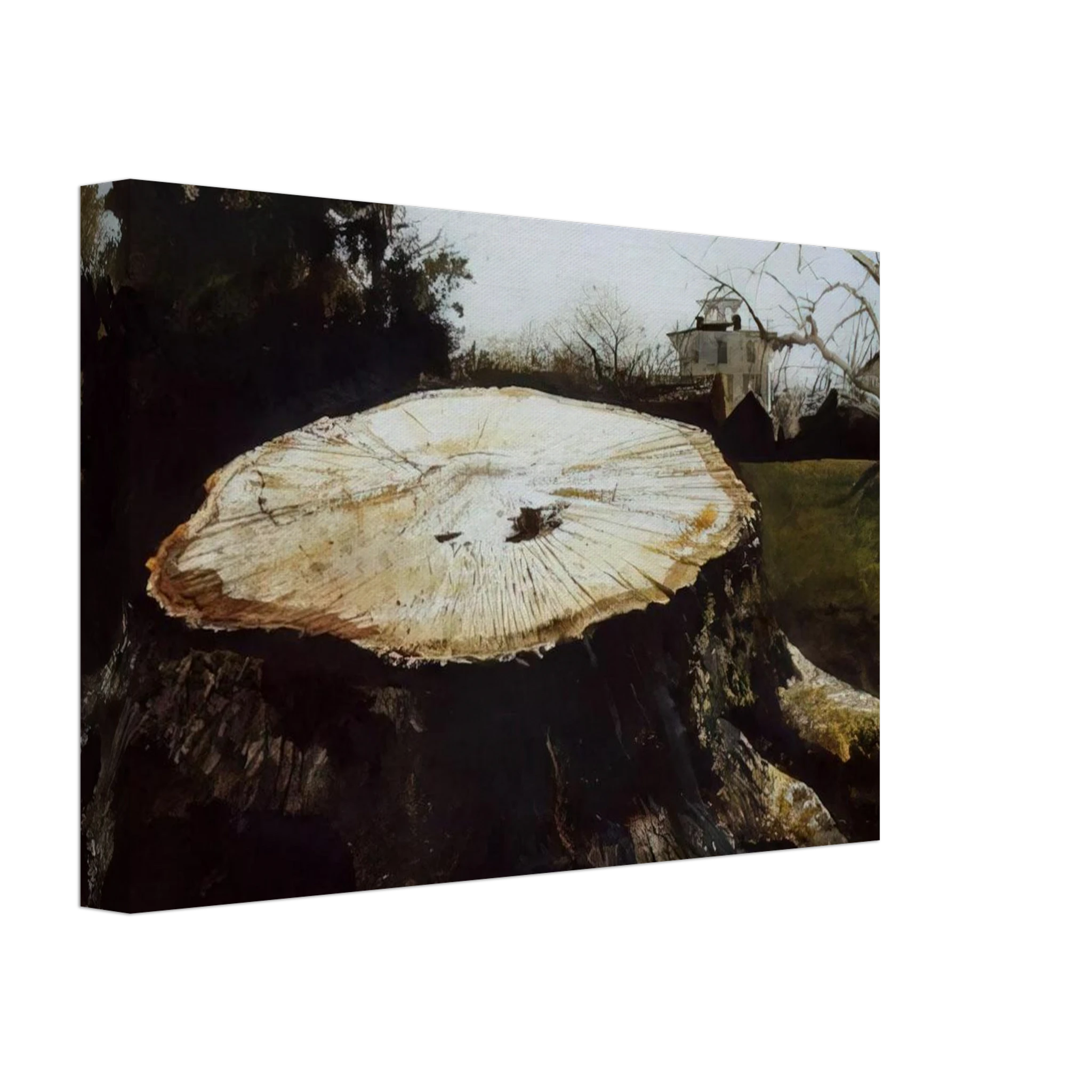THE BIG OAK Canvas | Andrew Wyeth Canvas | Andrew Wyeth Prints