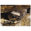 LOG CHAIN Poster | Andrew Wyeth Poster | Andrew Wyeth Prints