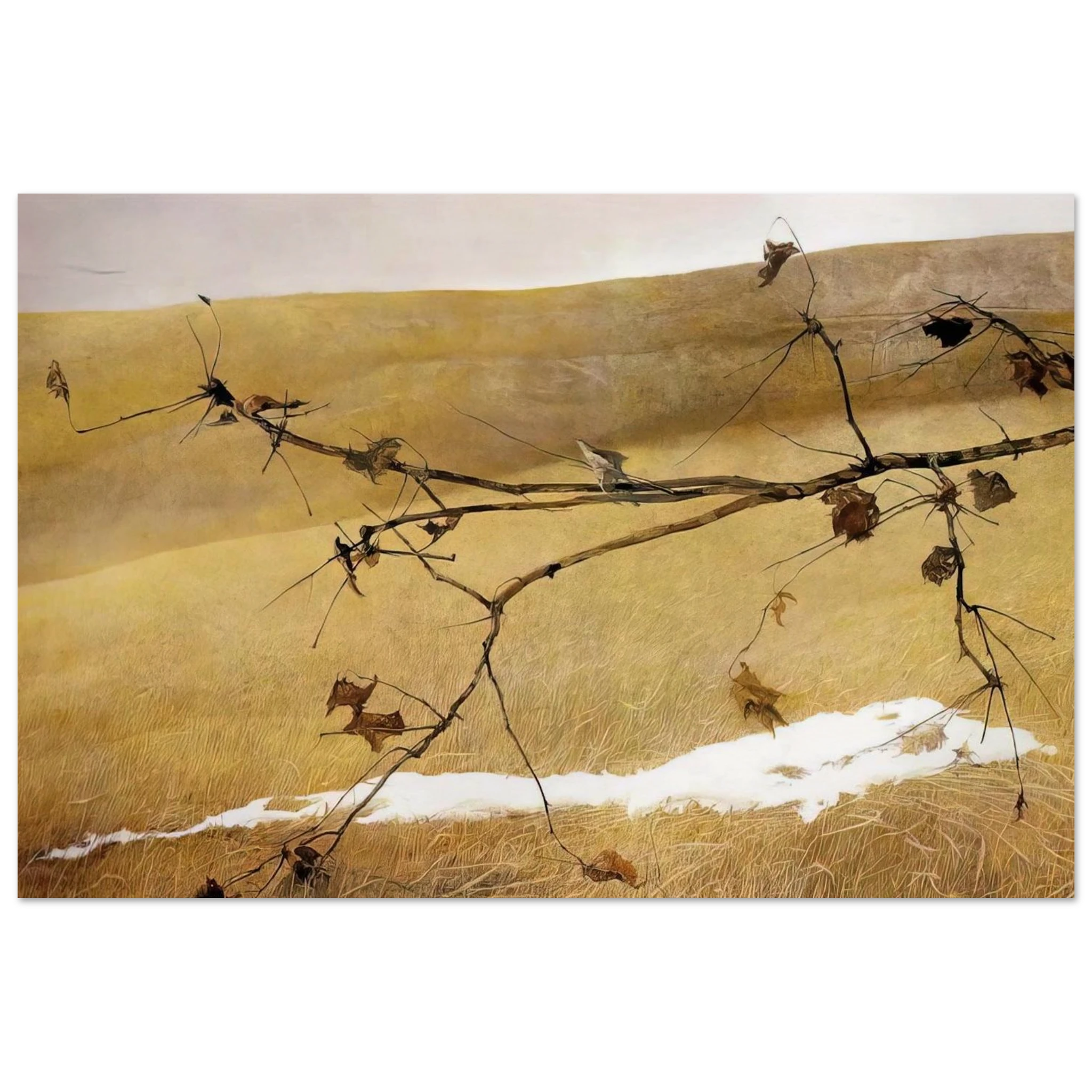 LONG LIMB Poster | Andrew Wyeth Poster | Andrew Wyeth Prints