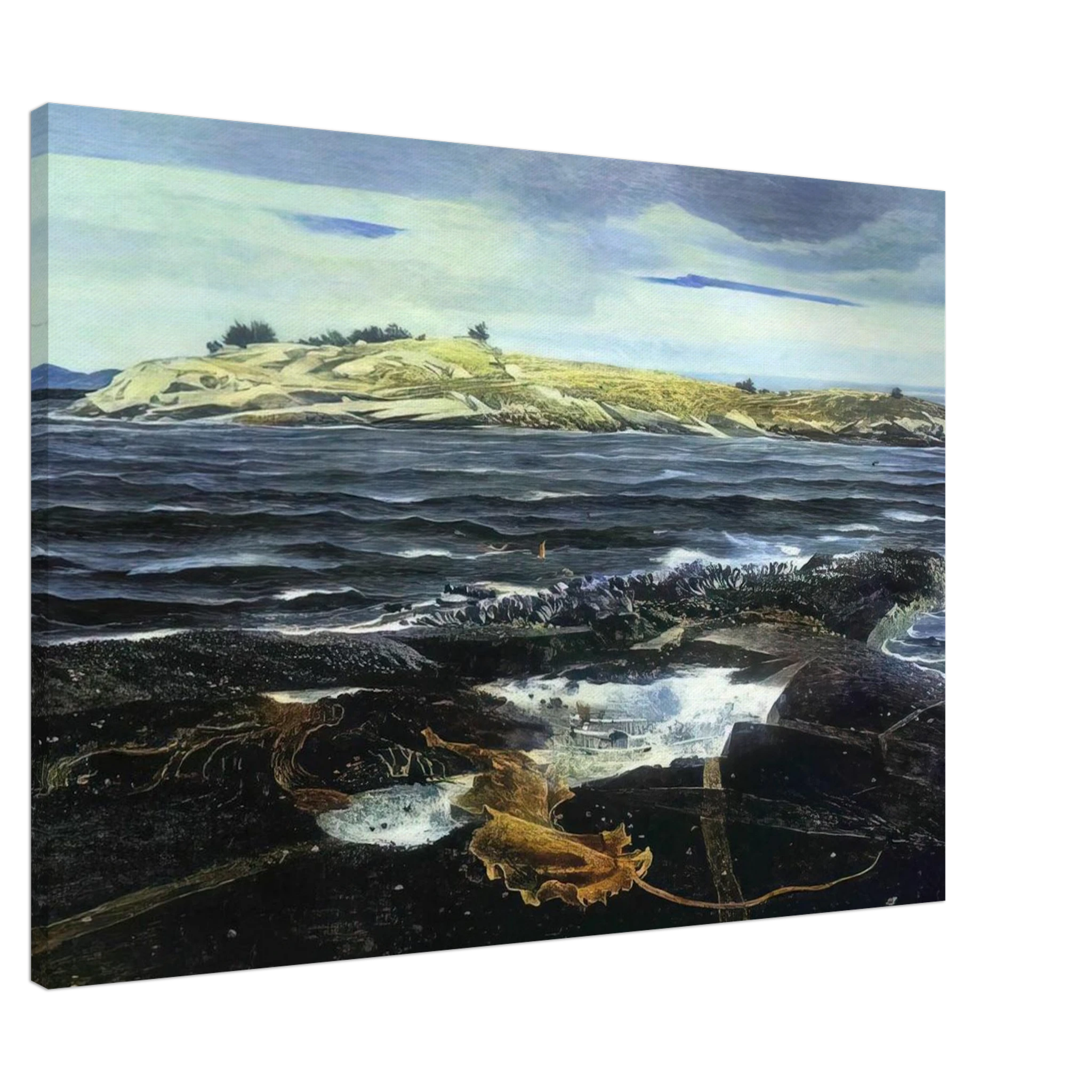 LITTLE CALDWELLS ISLAND Canvas | Andrew Wyeth Canvas | Andrew Wyeth Prints