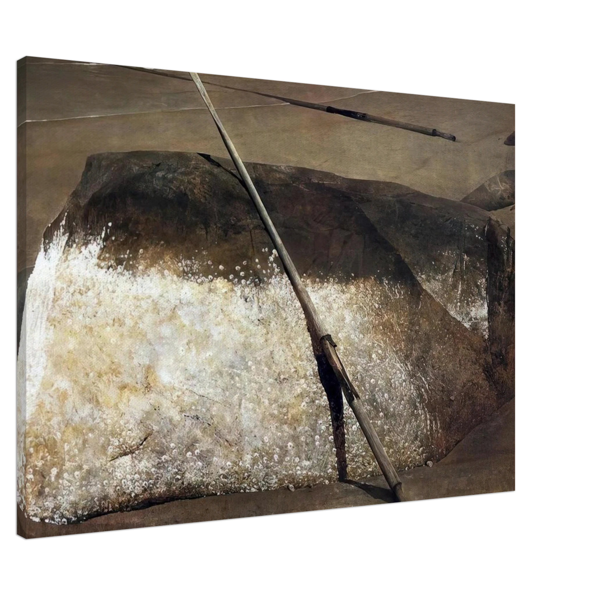 NOT DETECTED 38 Canvas | Andrew Wyeth Canvas | Andrew Wyeth Prints