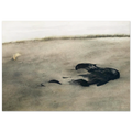 NOT DETECTED 37 Poster | Andrew Wyeth Poster | Andrew Wyeth Prints
