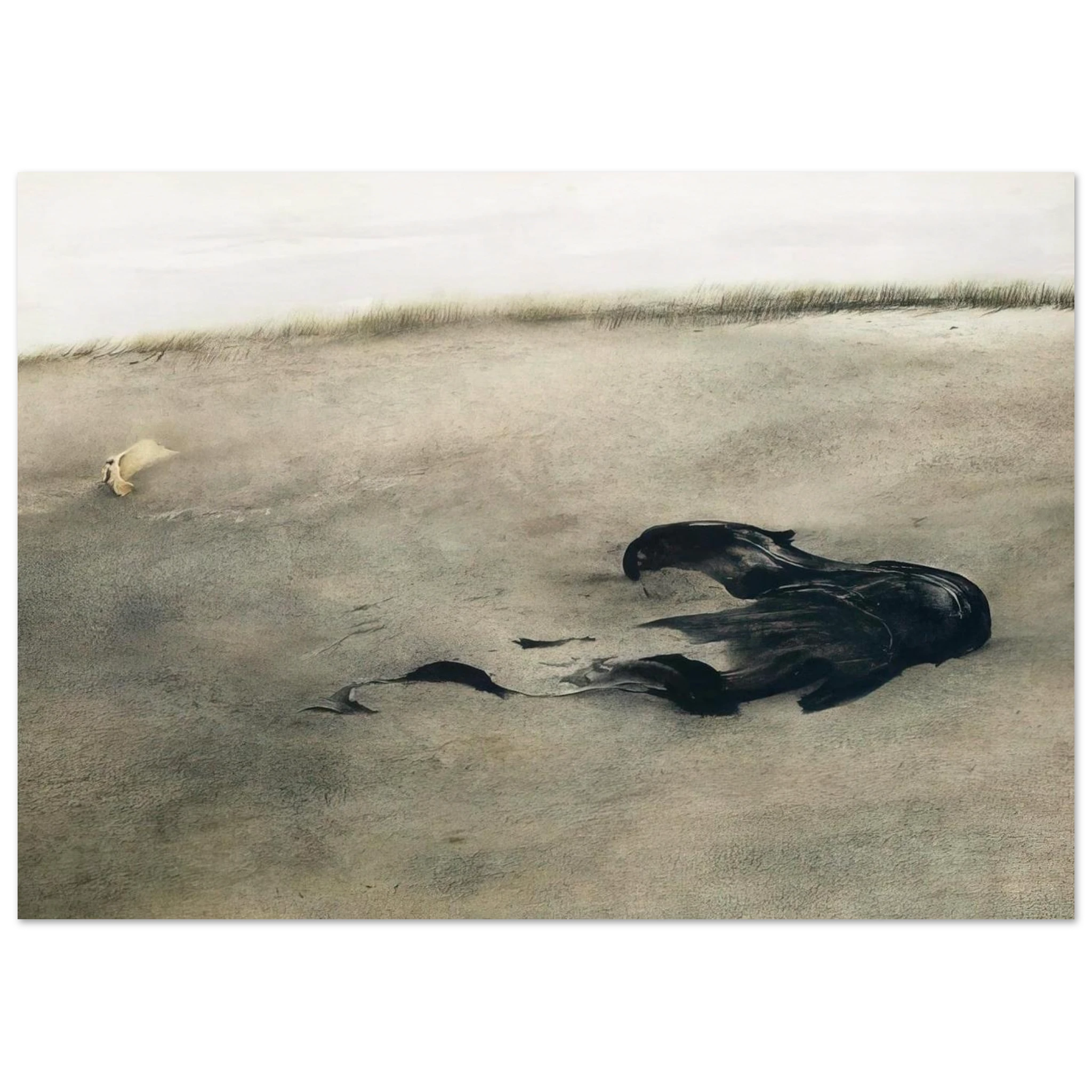 NOT DETECTED 37 Poster | Andrew Wyeth Poster | Andrew Wyeth Prints
