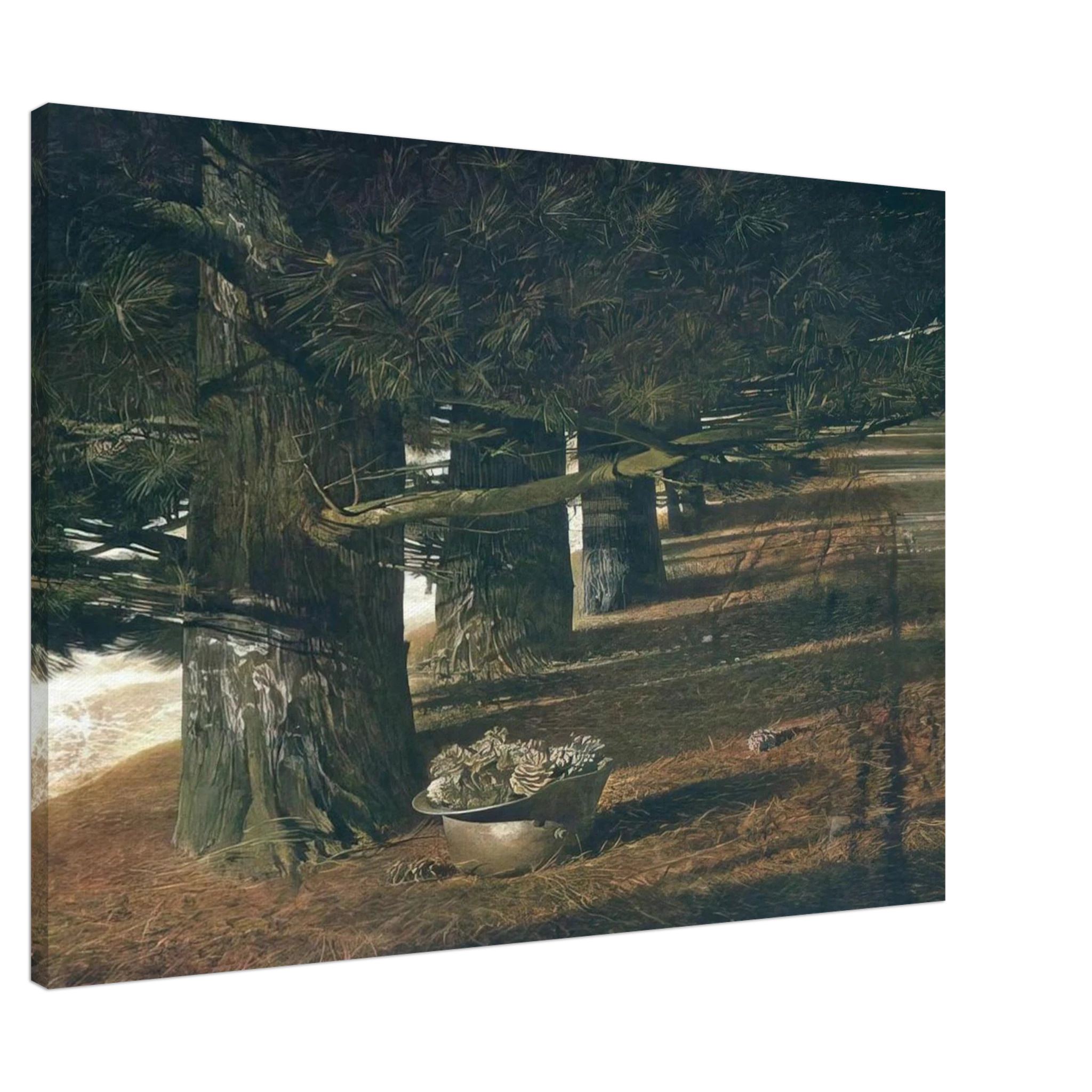 PINE BARON Canvas | Andrew Wyeth Canvas | Andrew Wyeth Prints