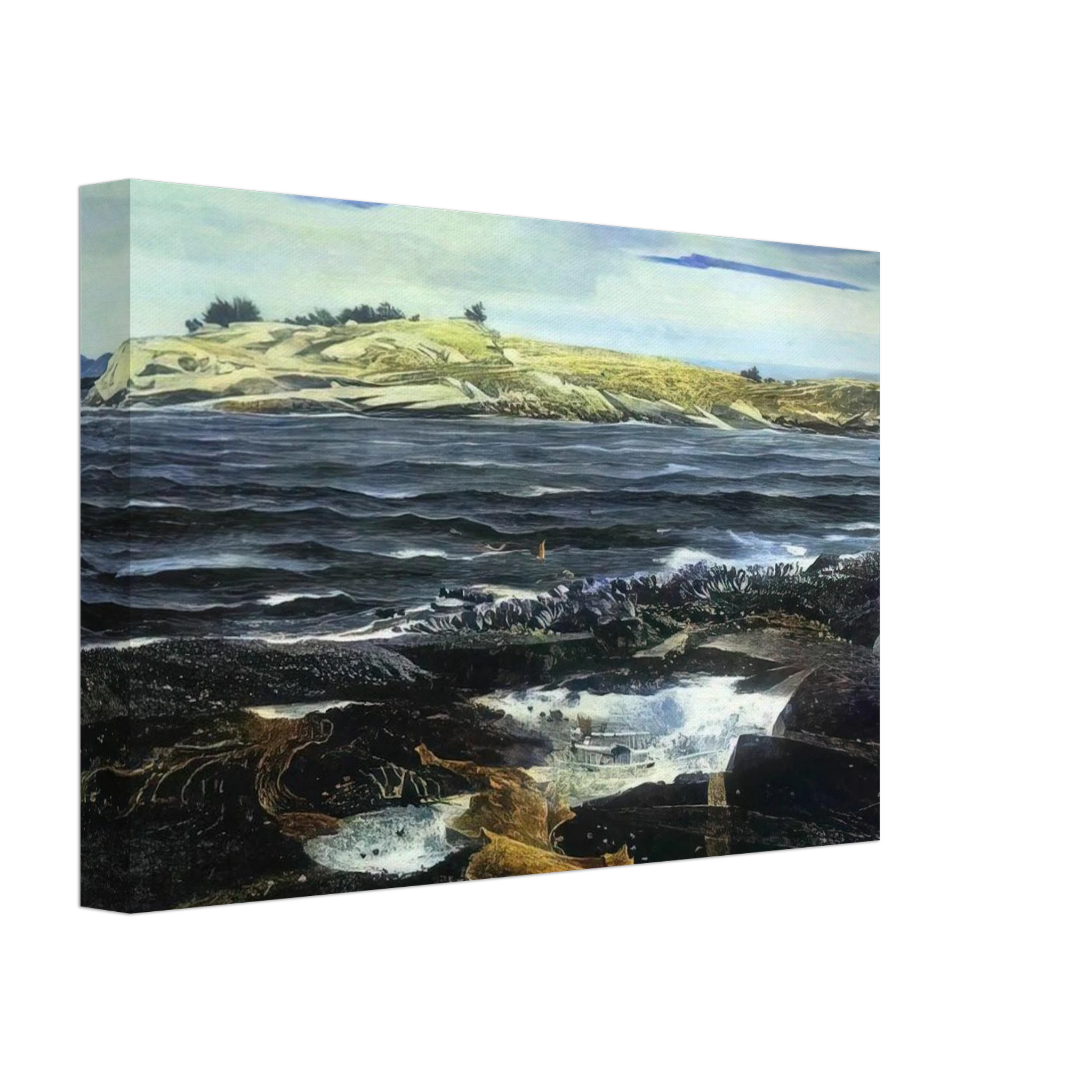 LITTLE CALDWELLS ISLAND Canvas | Andrew Wyeth Canvas | Andrew Wyeth Prints