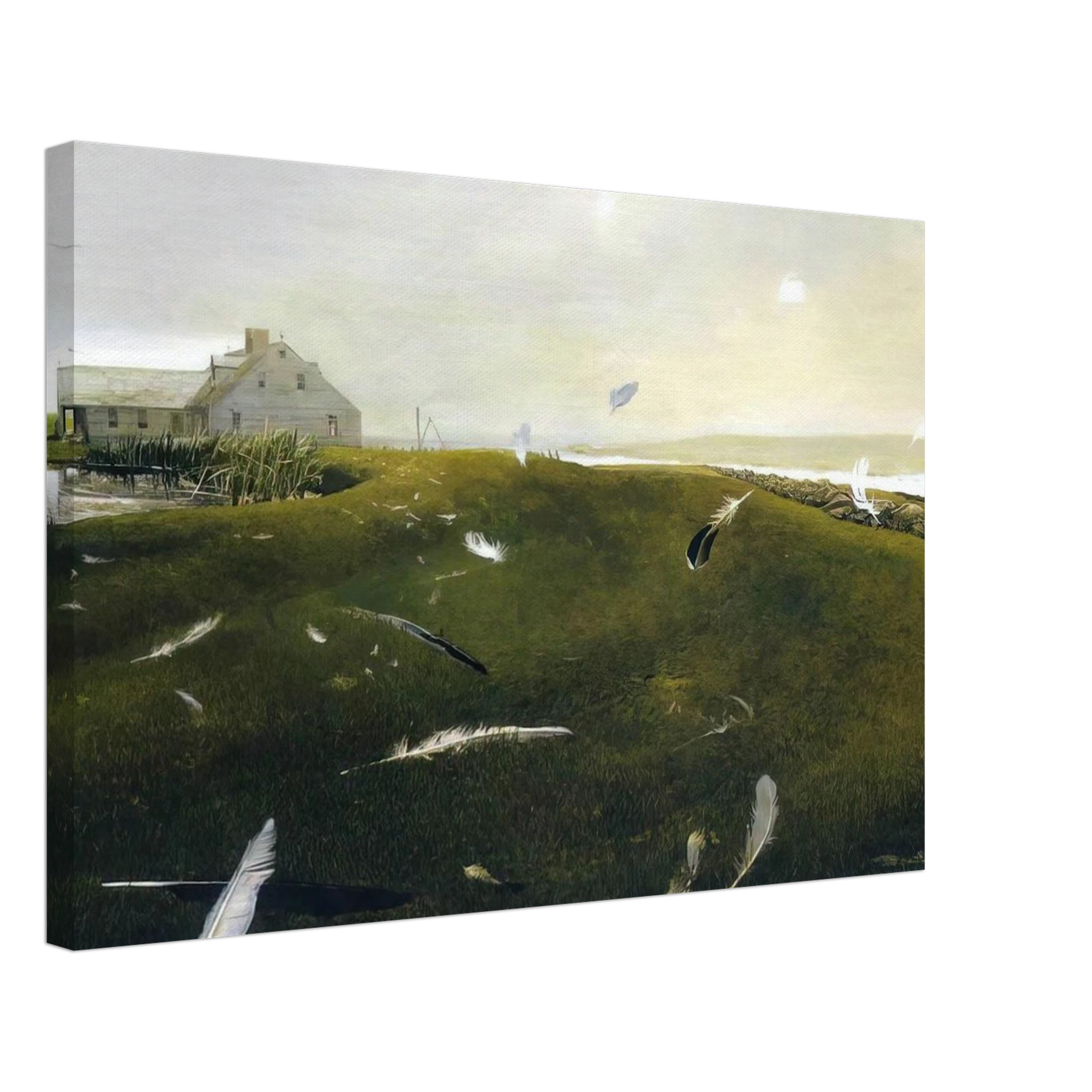 AIRBORNE Canvas | Andrew Wyeth Canvas | Andrew Wyeth Prints