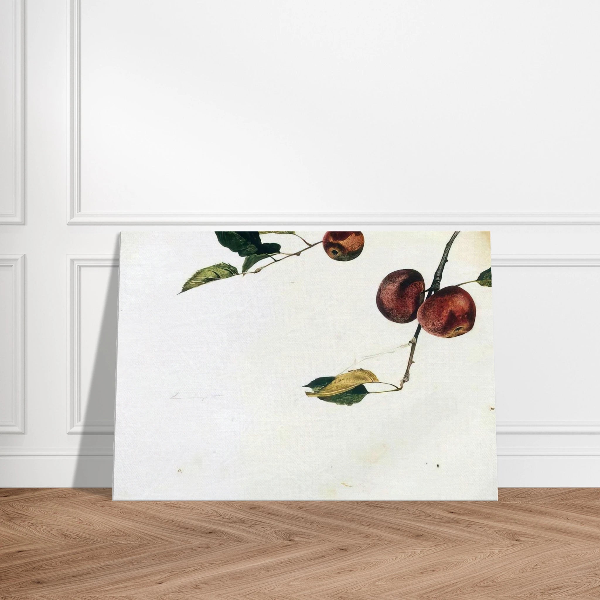 APPLES ON A BOUGH STUDY BEFORE PICKING Canvas | Andrew Wyeth Canvas | Andrew Wyeth Prints
