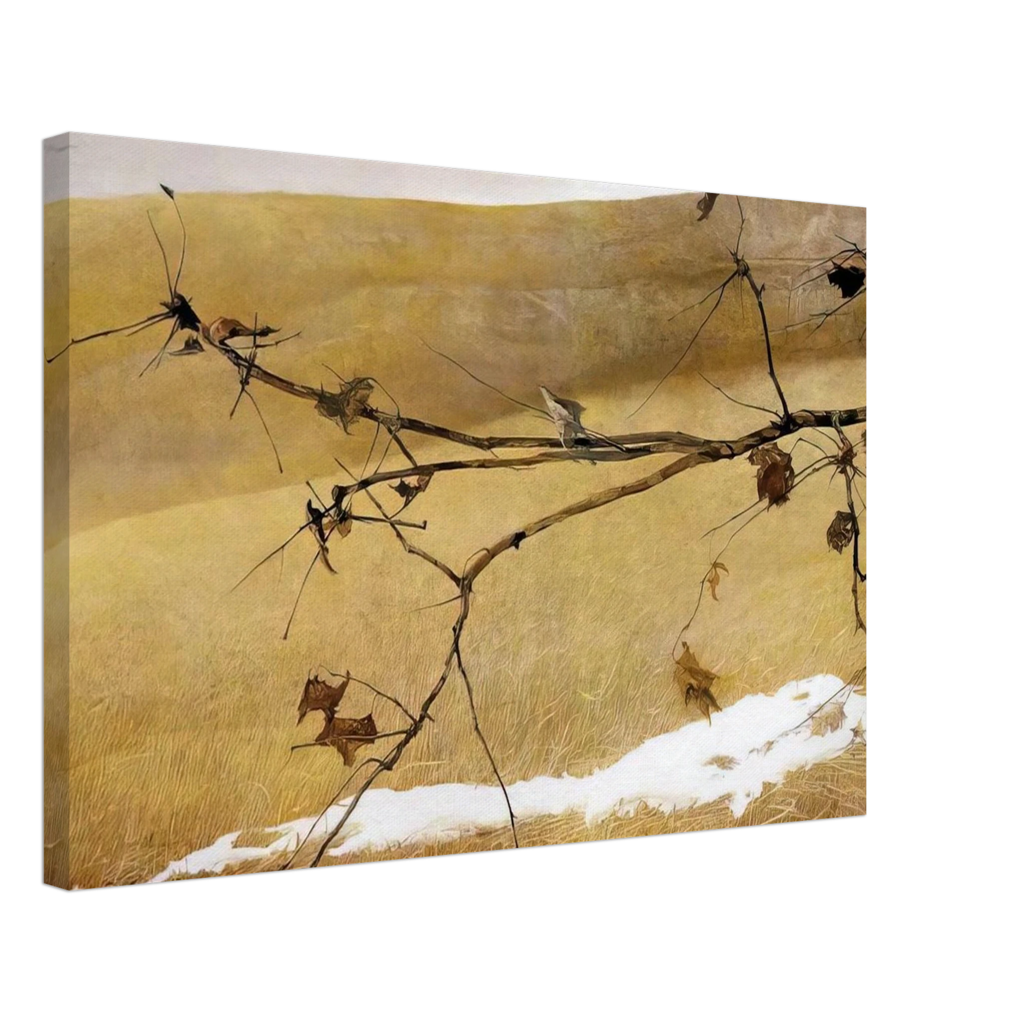 LONG LIMB Canvas | Andrew Wyeth Canvas | Andrew Wyeth Prints