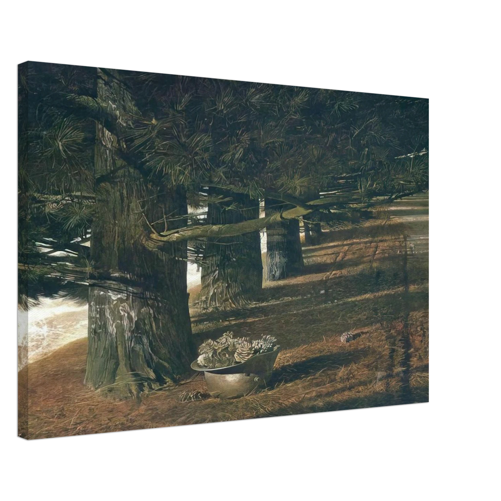 PINE BARON Canvas | Andrew Wyeth Canvas | Andrew Wyeth Prints