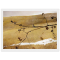 LONG LIMB Framed Poster | Andrew Wyeth Framed Prints Wall Art | Andrew Wyeth Prints