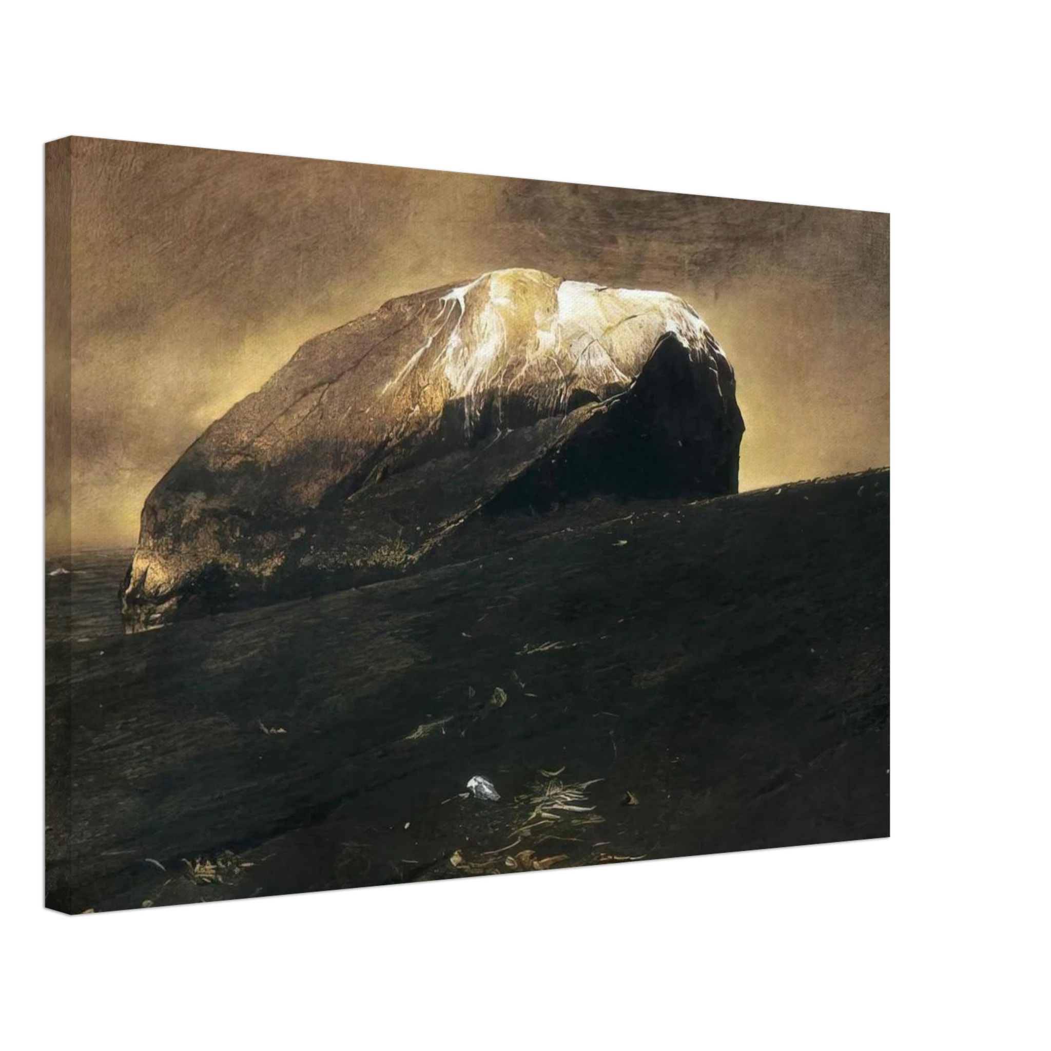 NOT DETECTED 42 Canvas | Andrew Wyeth Canvas | Andrew Wyeth Prints