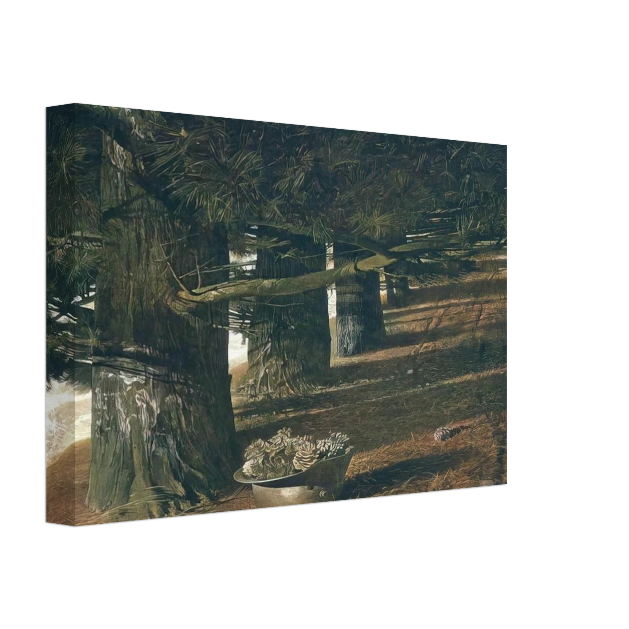 PINE BARON Canvas | Andrew Wyeth Canvas | Andrew Wyeth Prints