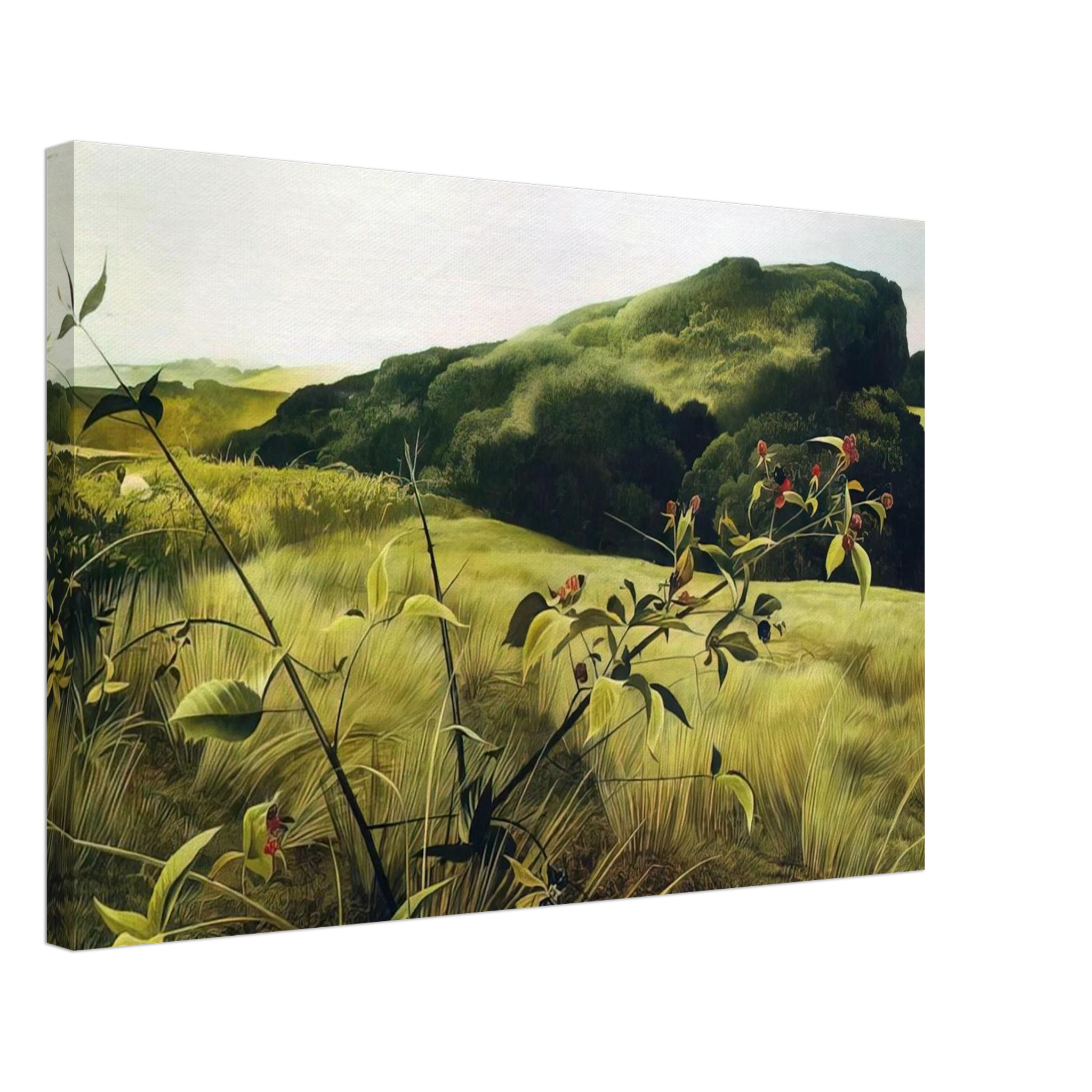 BLACKBERRY PICKER Canvas | Andrew Wyeth Canvas | Andrew Wyeth Prints