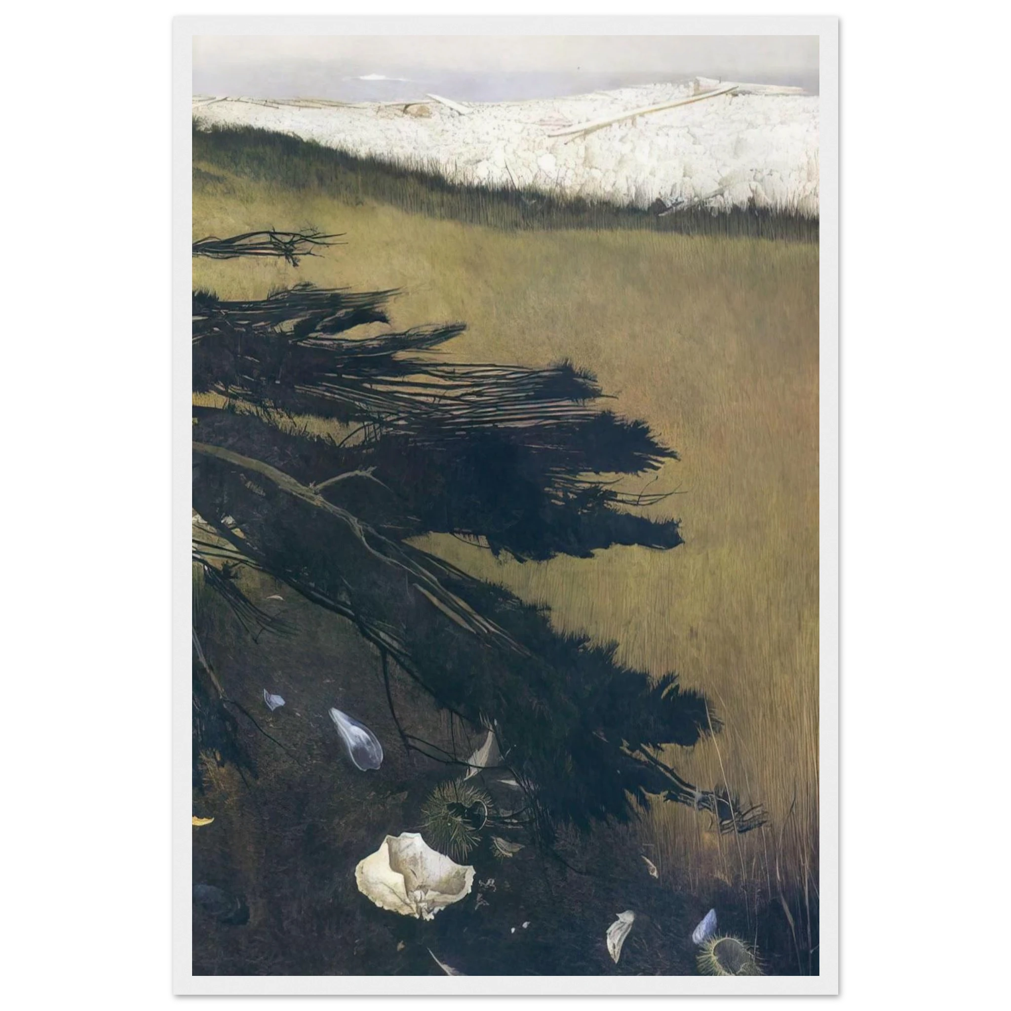 NOT DETECTED 47 Framed Poster | Andrew Wyeth Framed Prints Wall Art | Andrew Wyeth Prints