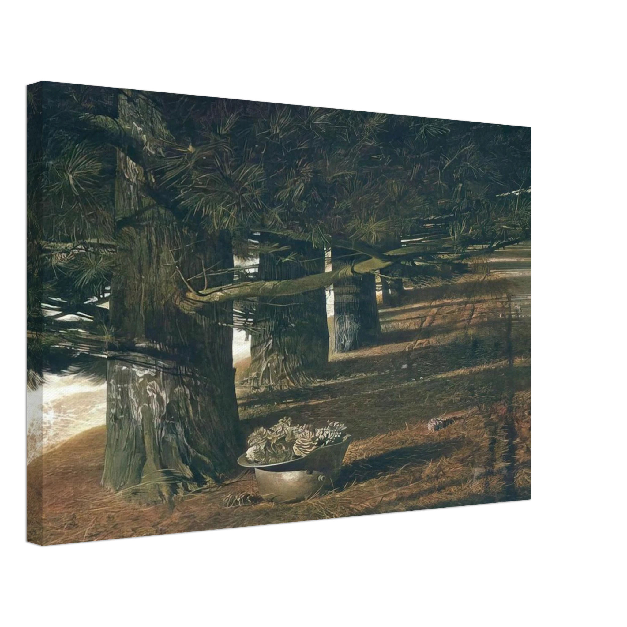 PINE BARON Canvas | Andrew Wyeth Canvas | Andrew Wyeth Prints