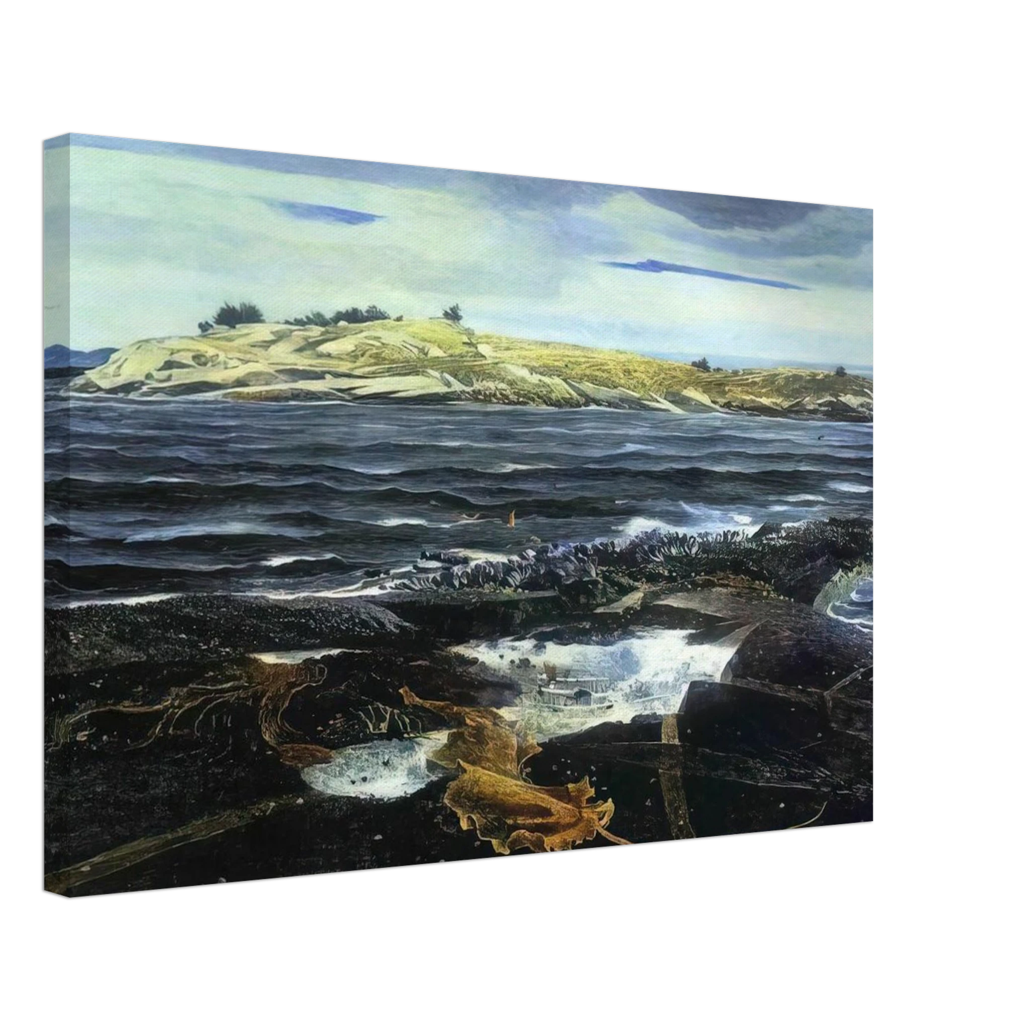 LITTLE CALDWELLS ISLAND Canvas | Andrew Wyeth Canvas | Andrew Wyeth Prints