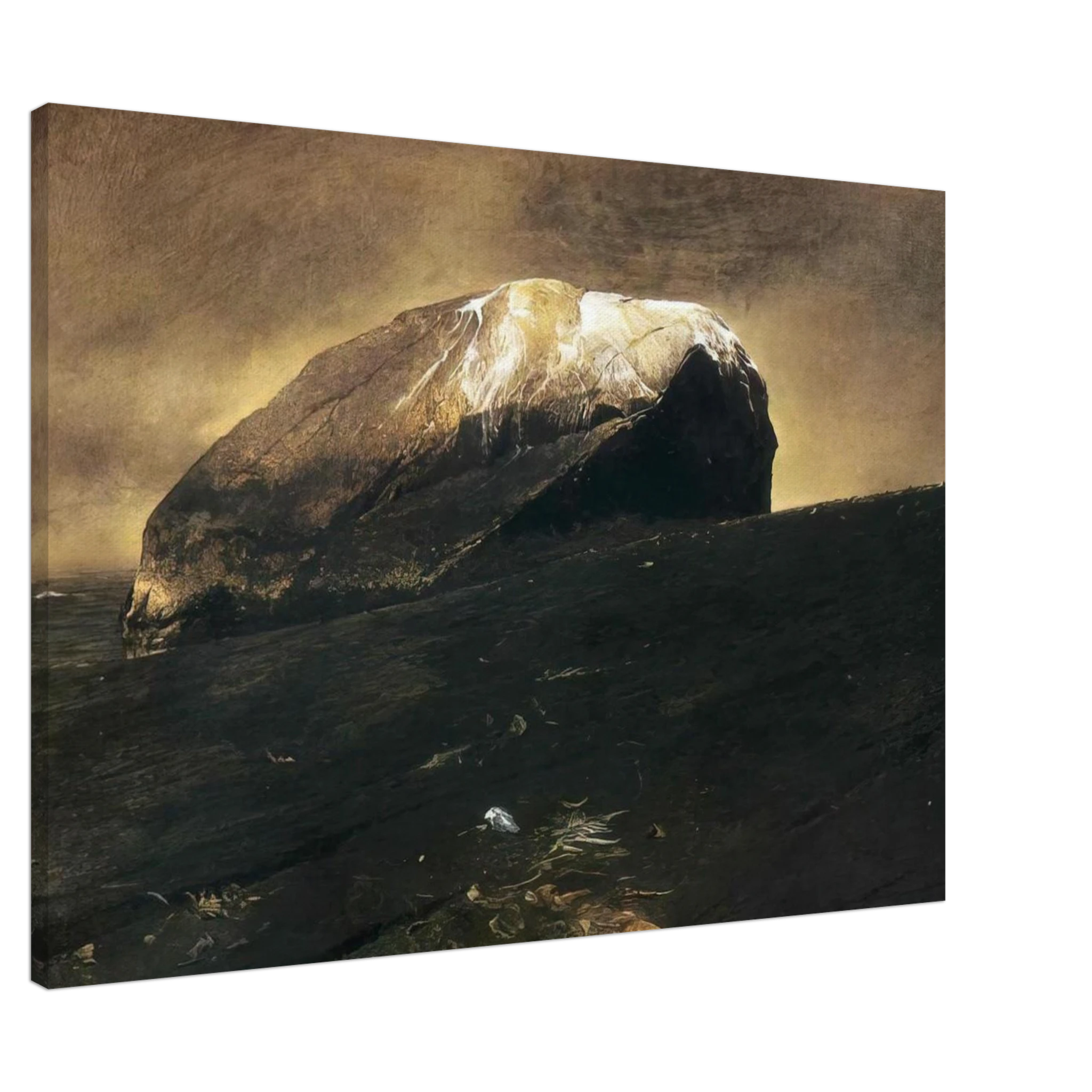 NOT DETECTED 42 Canvas | Andrew Wyeth Canvas | Andrew Wyeth Prints