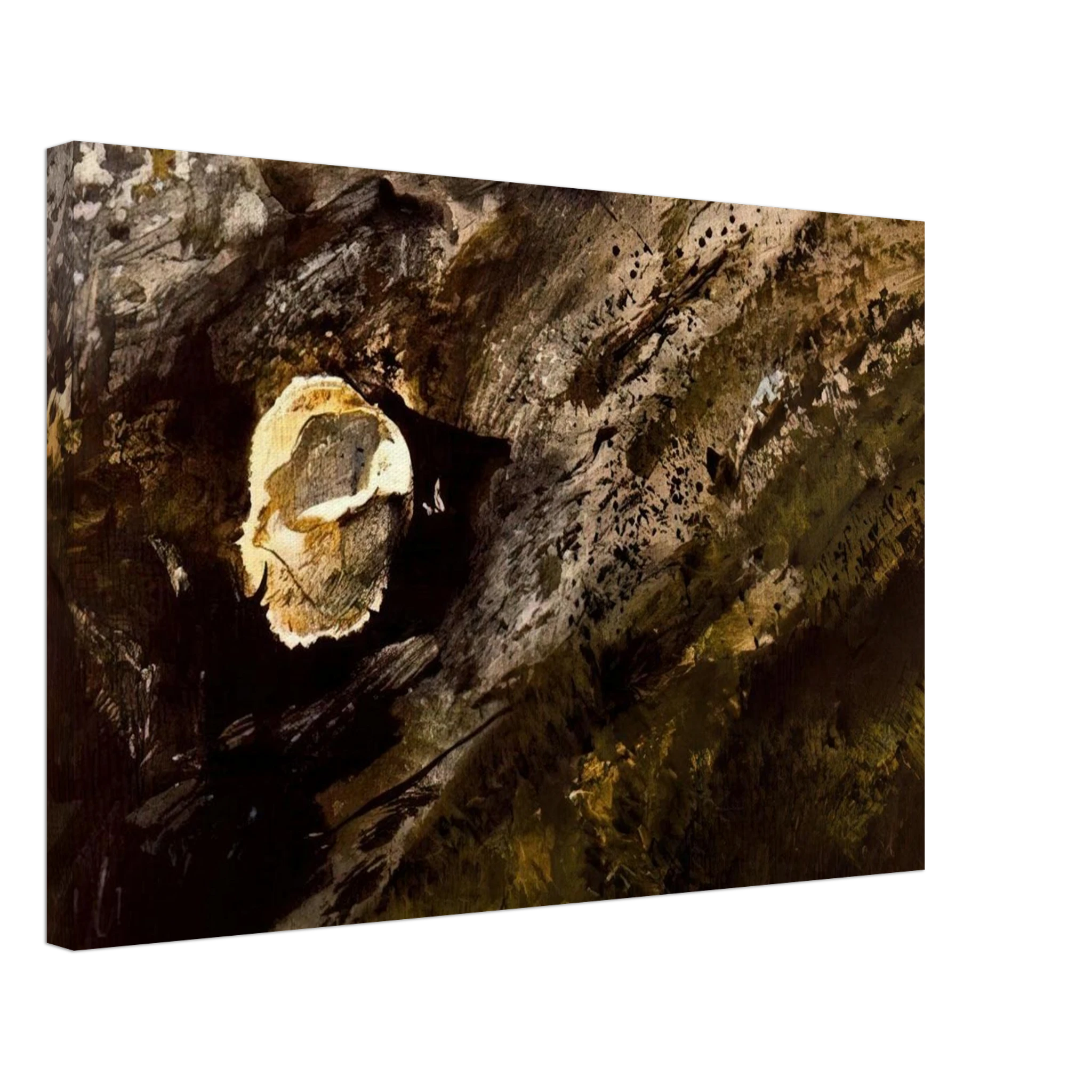 INLAND SHELL Canvas | Andrew Wyeth Canvas | Andrew Wyeth Prints
