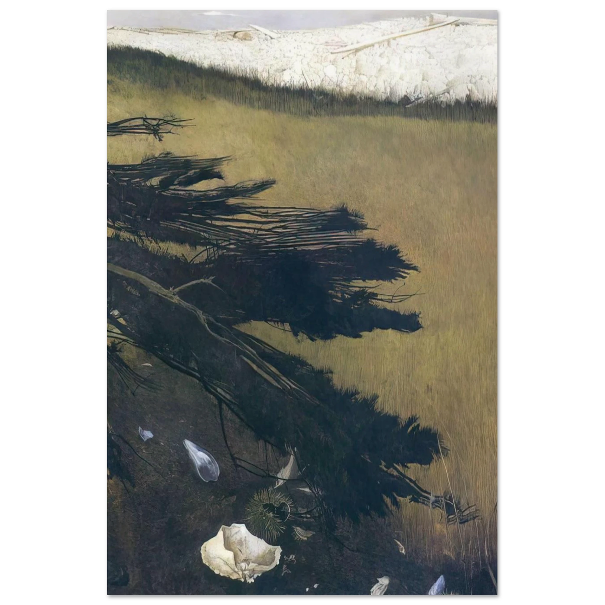NOT DETECTED 47 Poster | Andrew Wyeth Poster | Andrew Wyeth Prints