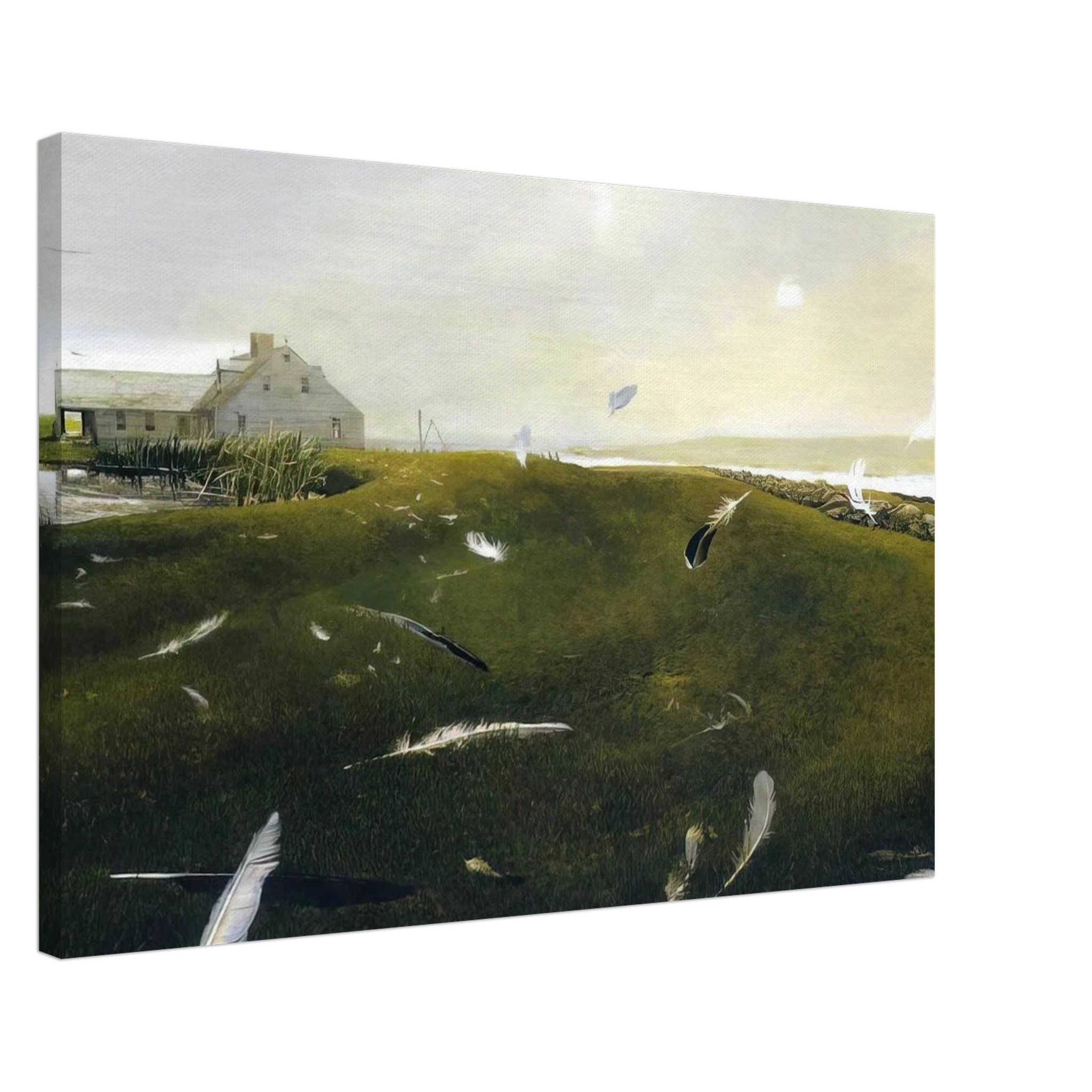 AIRBORNE Canvas | Andrew Wyeth Canvas | Andrew Wyeth Prints