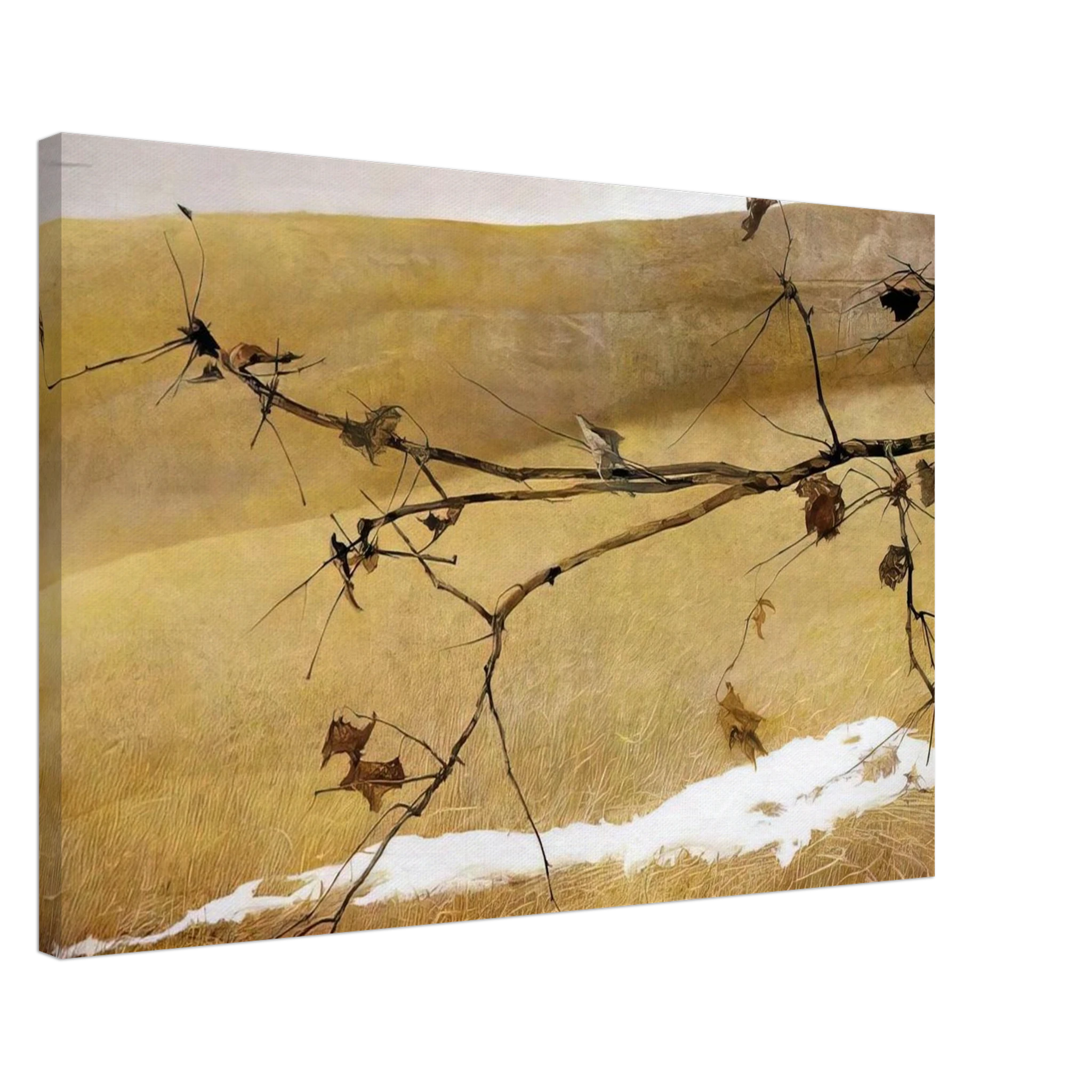LONG LIMB Canvas | Andrew Wyeth Canvas | Andrew Wyeth Prints