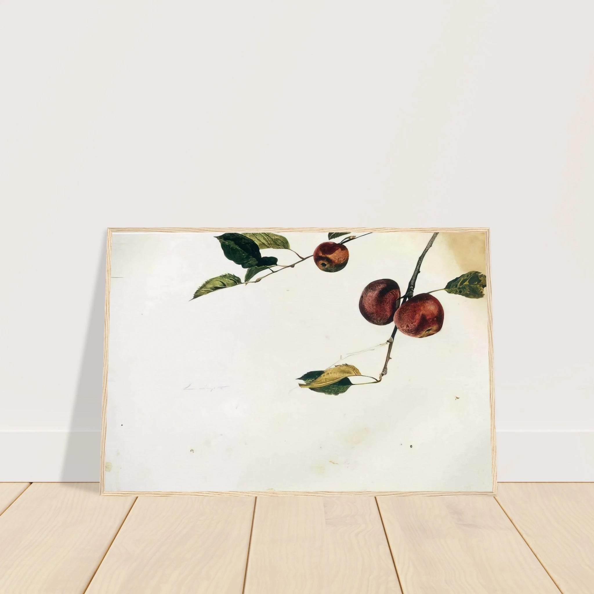 APPLES ON A BOUGH STUDY BEFORE PICKING Framed Poster | Andrew Wyeth Framed Prints Wall Art | Andrew Wyeth Prints