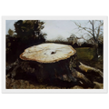 THE BIG OAK Framed Poster | Andrew Wyeth Framed Prints Wall Art | Andrew Wyeth Prints