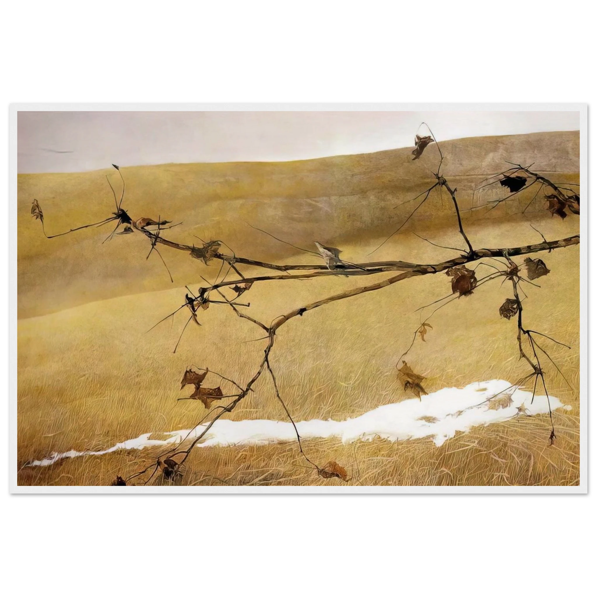 LONG LIMB Framed Poster | Andrew Wyeth Framed Prints Wall Art | Andrew Wyeth Prints